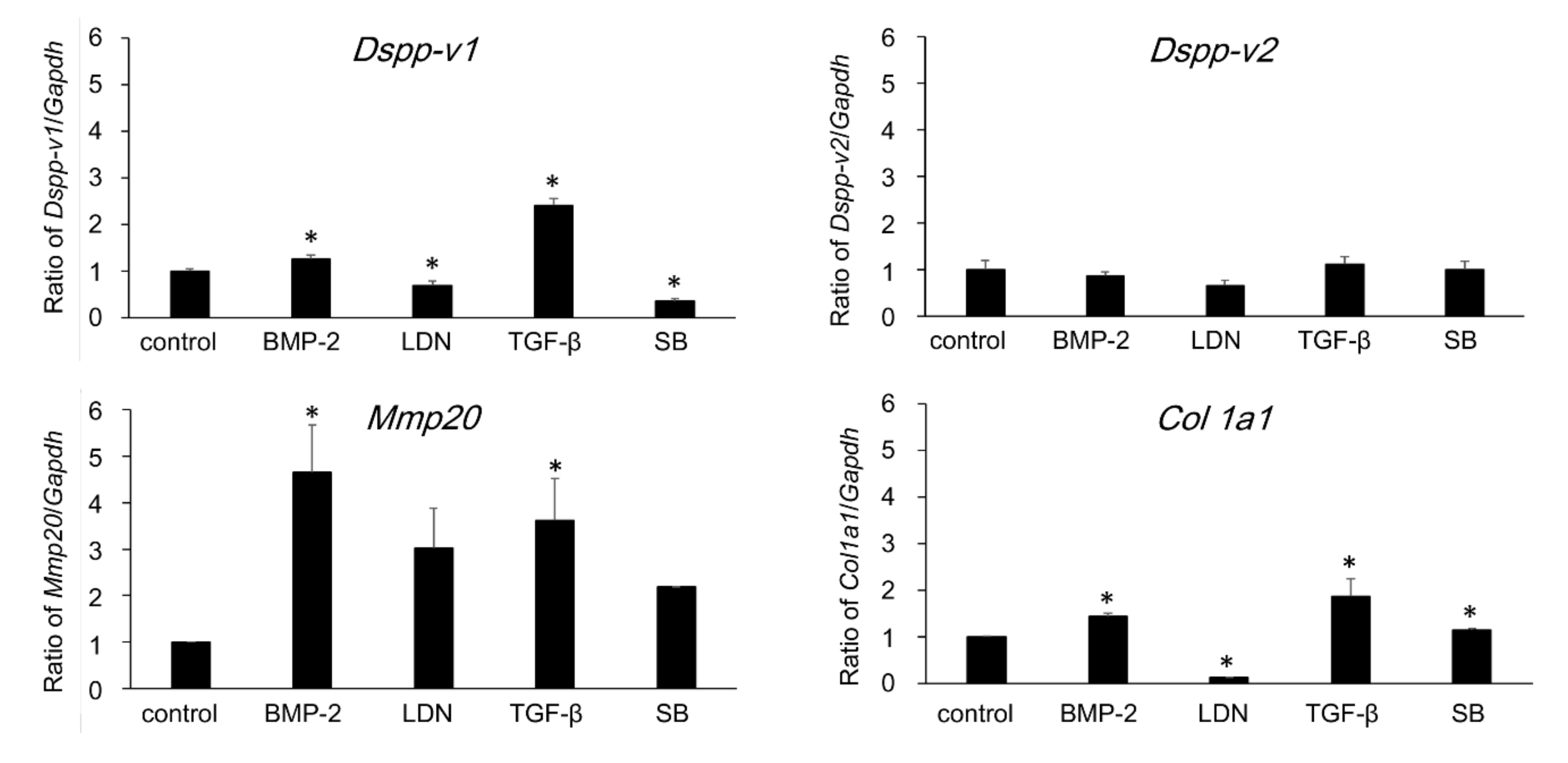 Cells 09 02336 g007 Cells 09 02336 g007