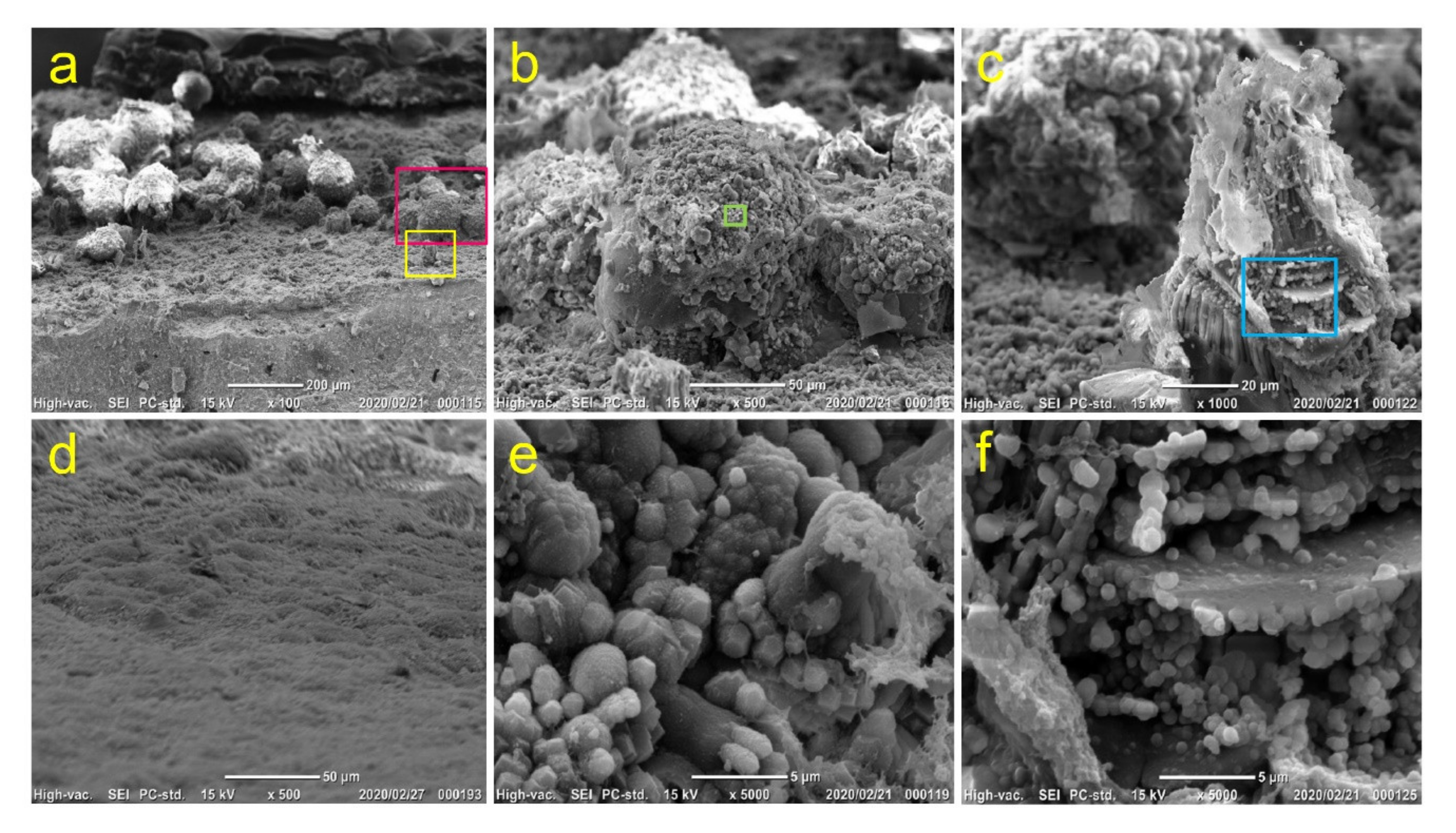 Cells 09 02336 g009 Cells 09 02336 g009