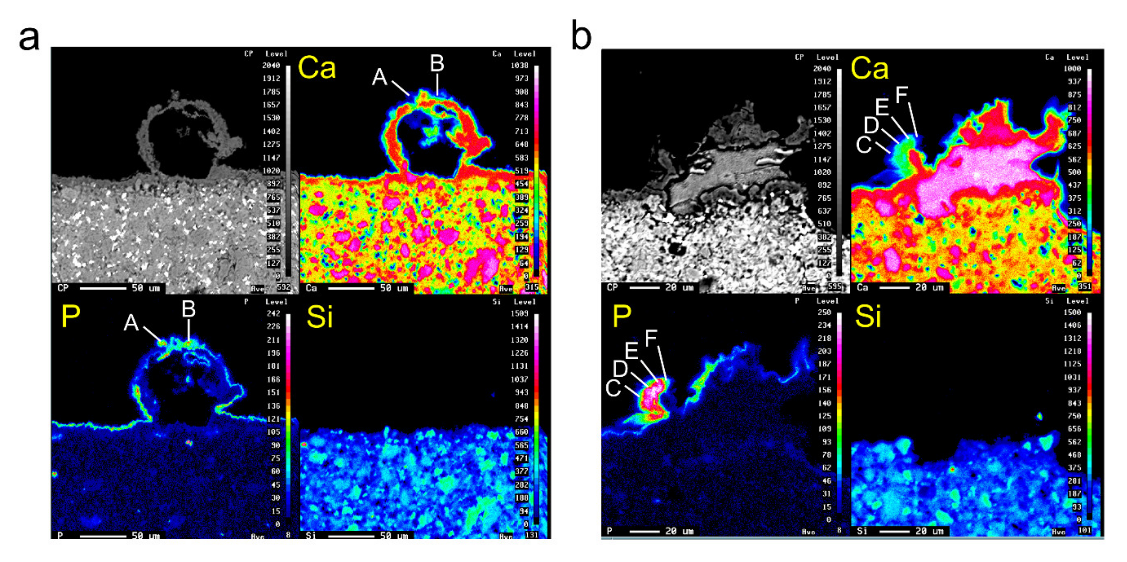 Cells 09 02336 g010 Cells 09 02336 g010