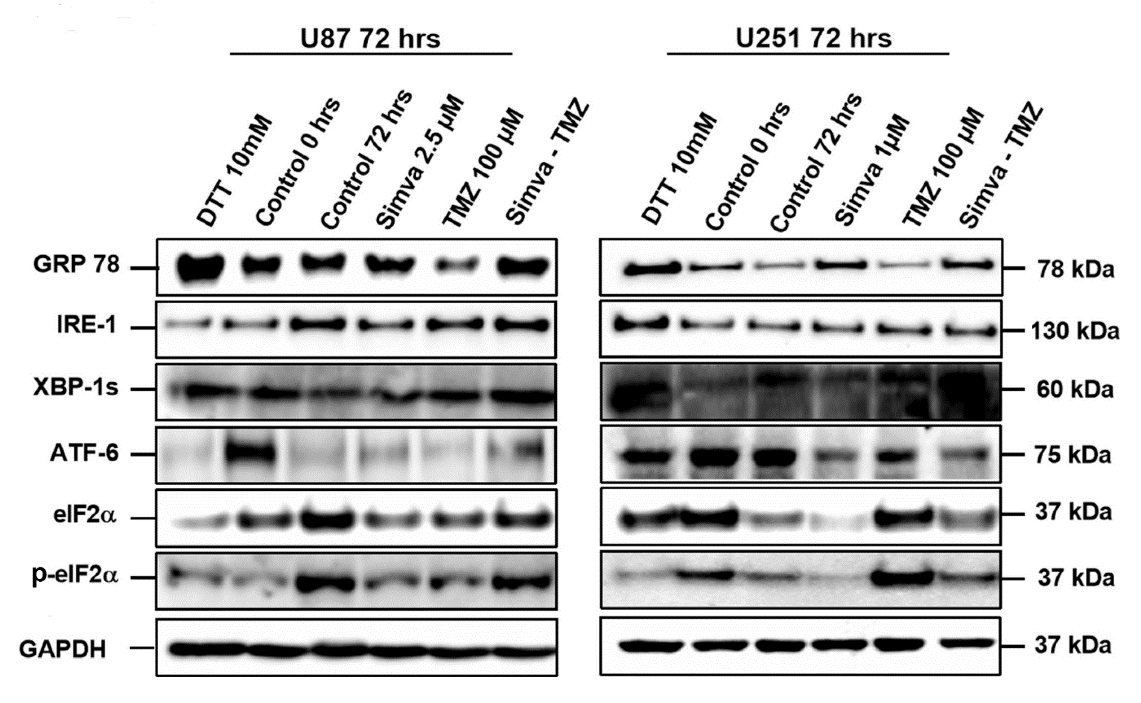 Cells 09 02339 g001 Cells 09 02339 g001