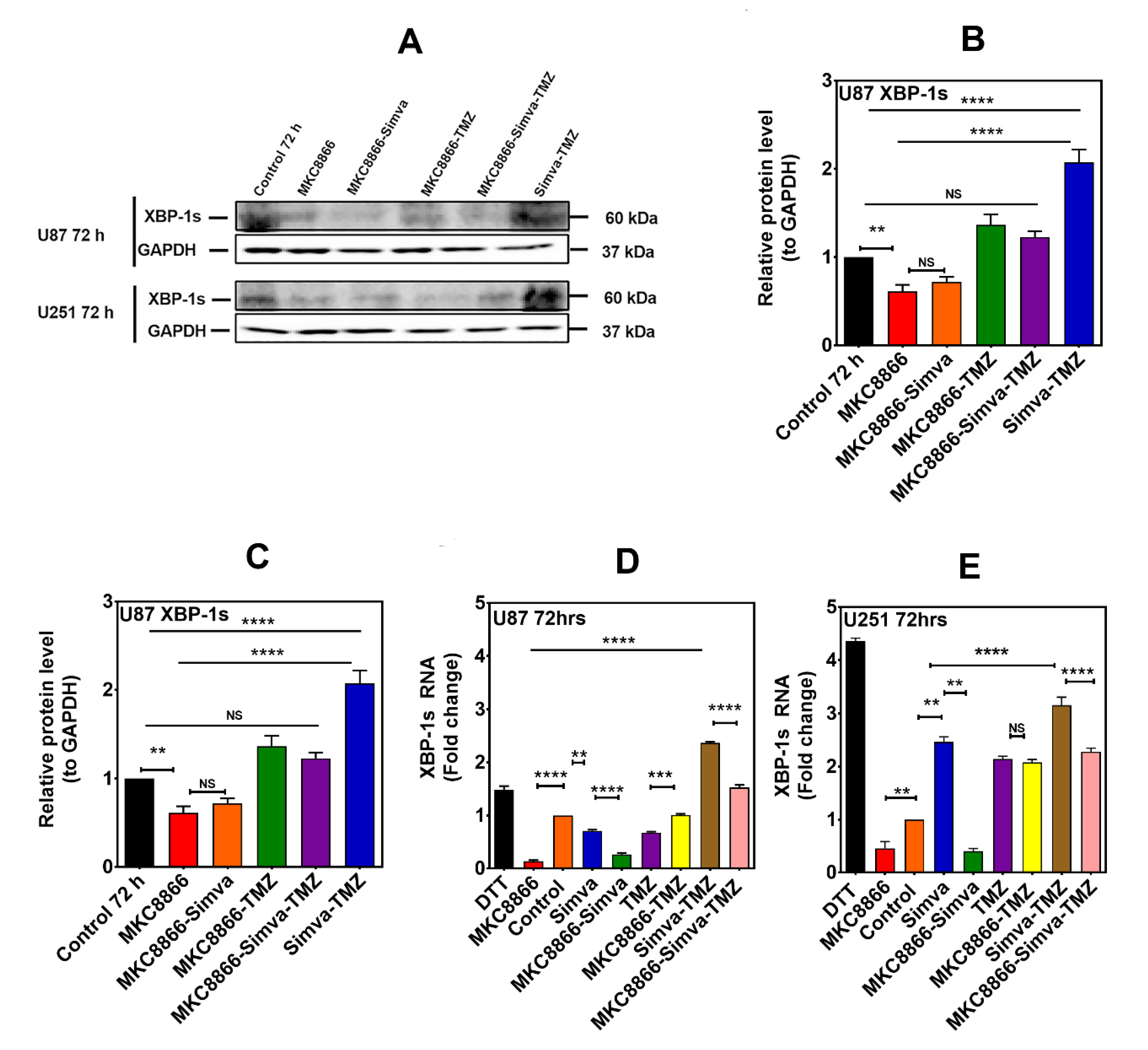 Cells 09 02339 g003 Cells 09 02339 g003