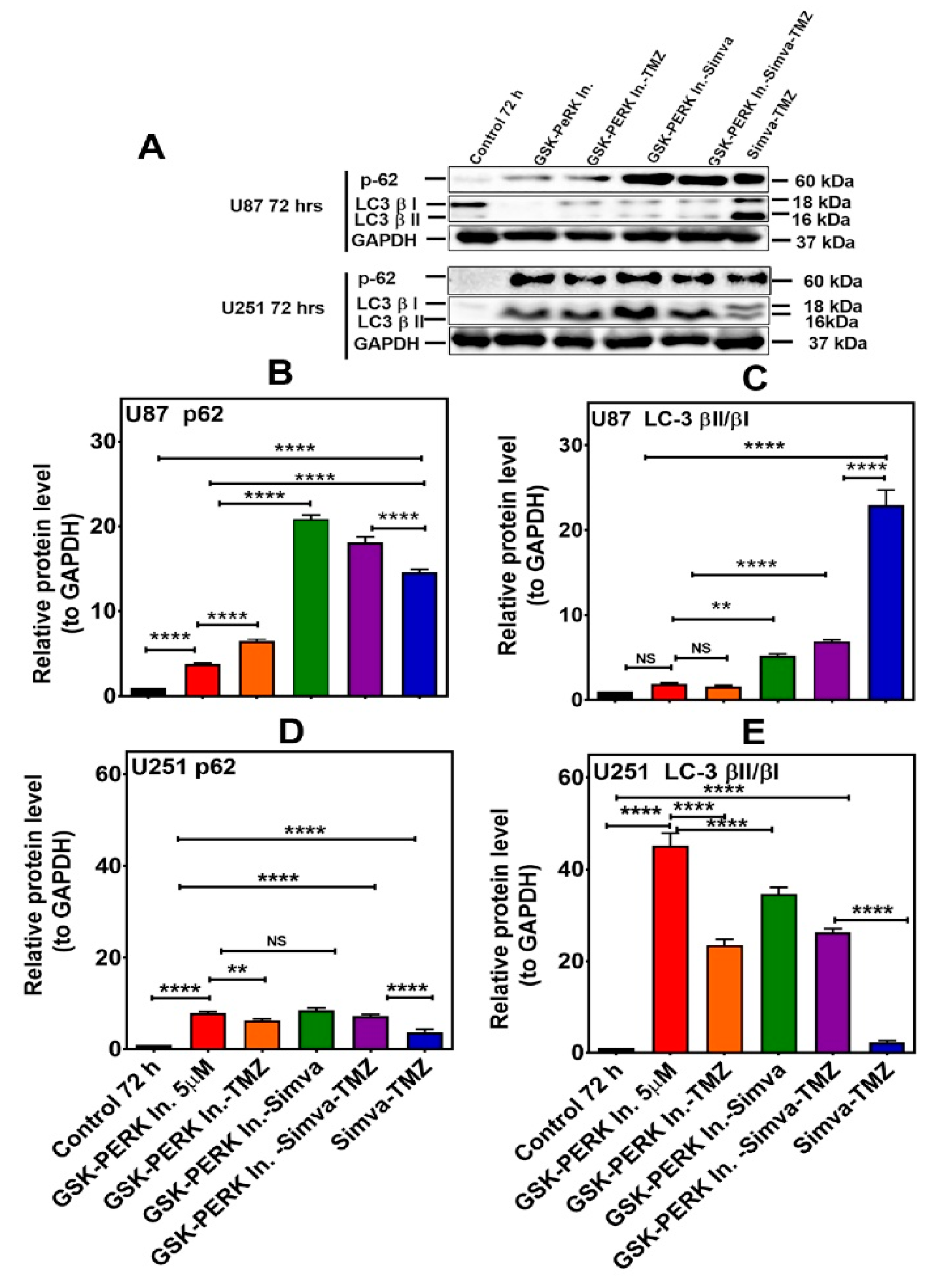 Cells 09 02339 g007 Cells 09 02339 g007
