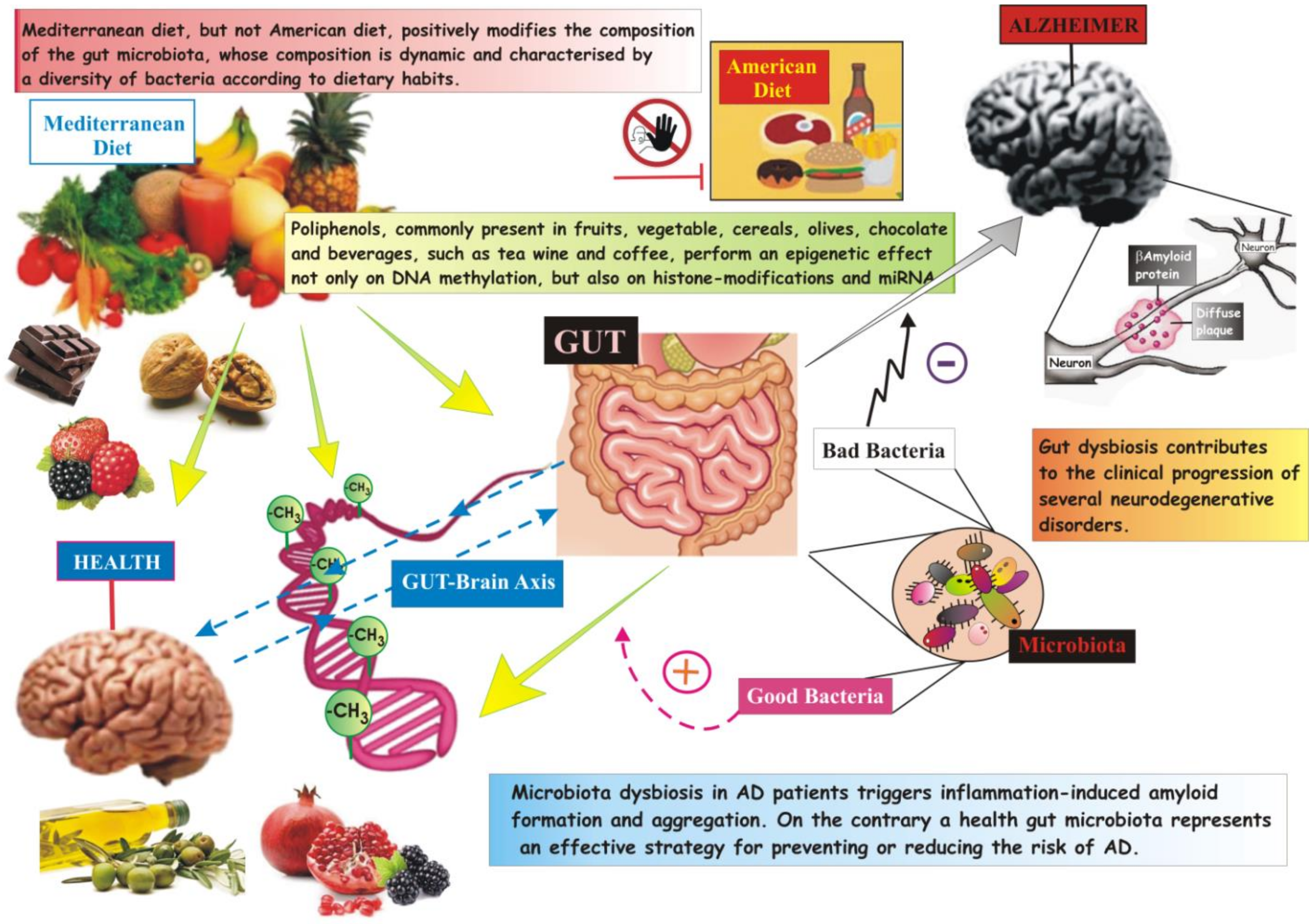 Cells 09 02347 g004 Cells 09 02347 g004