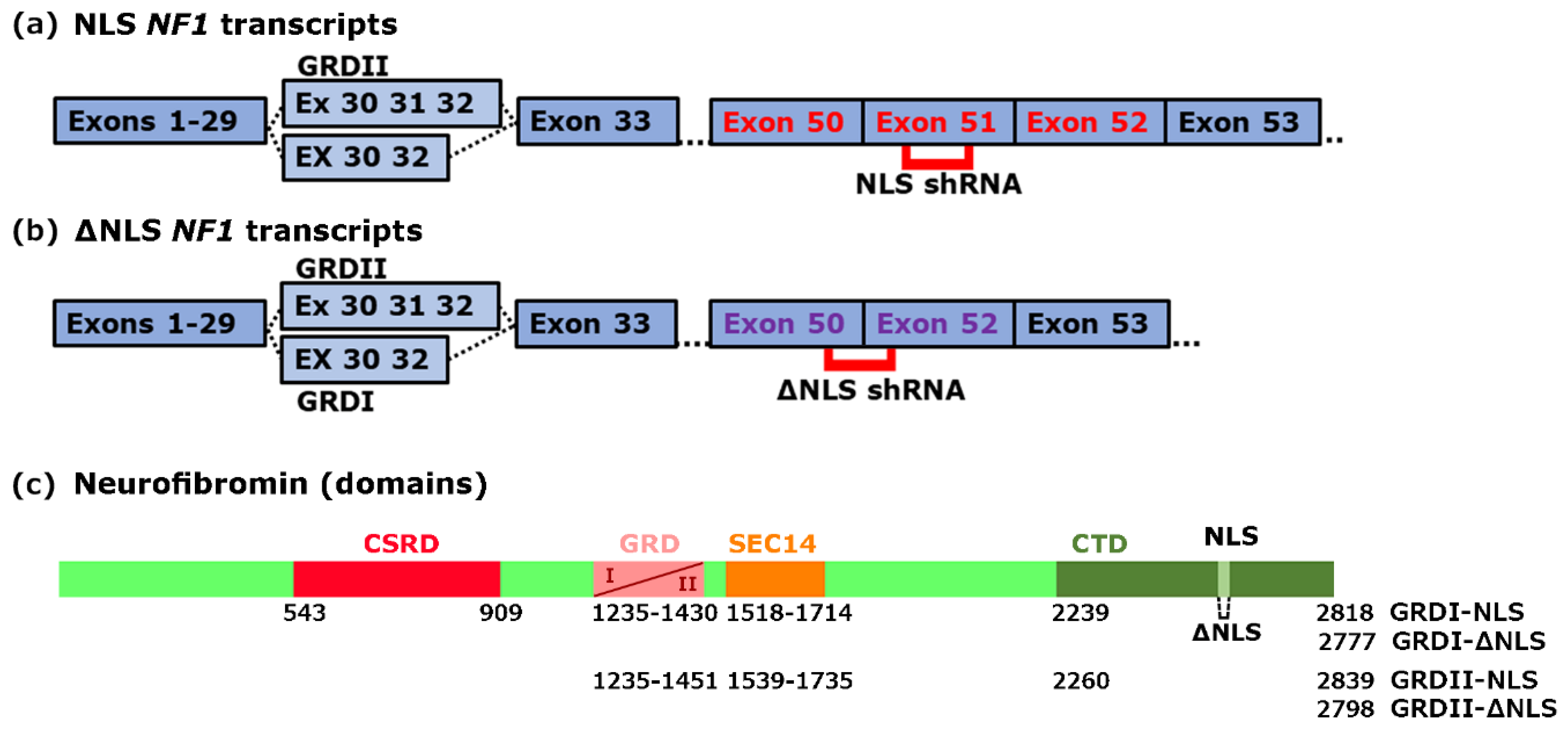 Cells 09 02348 sch001