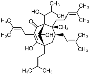 Cells 09 02351 i003 Cells 09 02351 i003