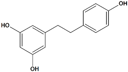 Cells 09 02351 i004 Cells 09 02351 i004