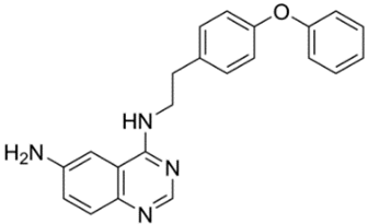 Cells 09 02351 i017 Cells 09 02351 i017