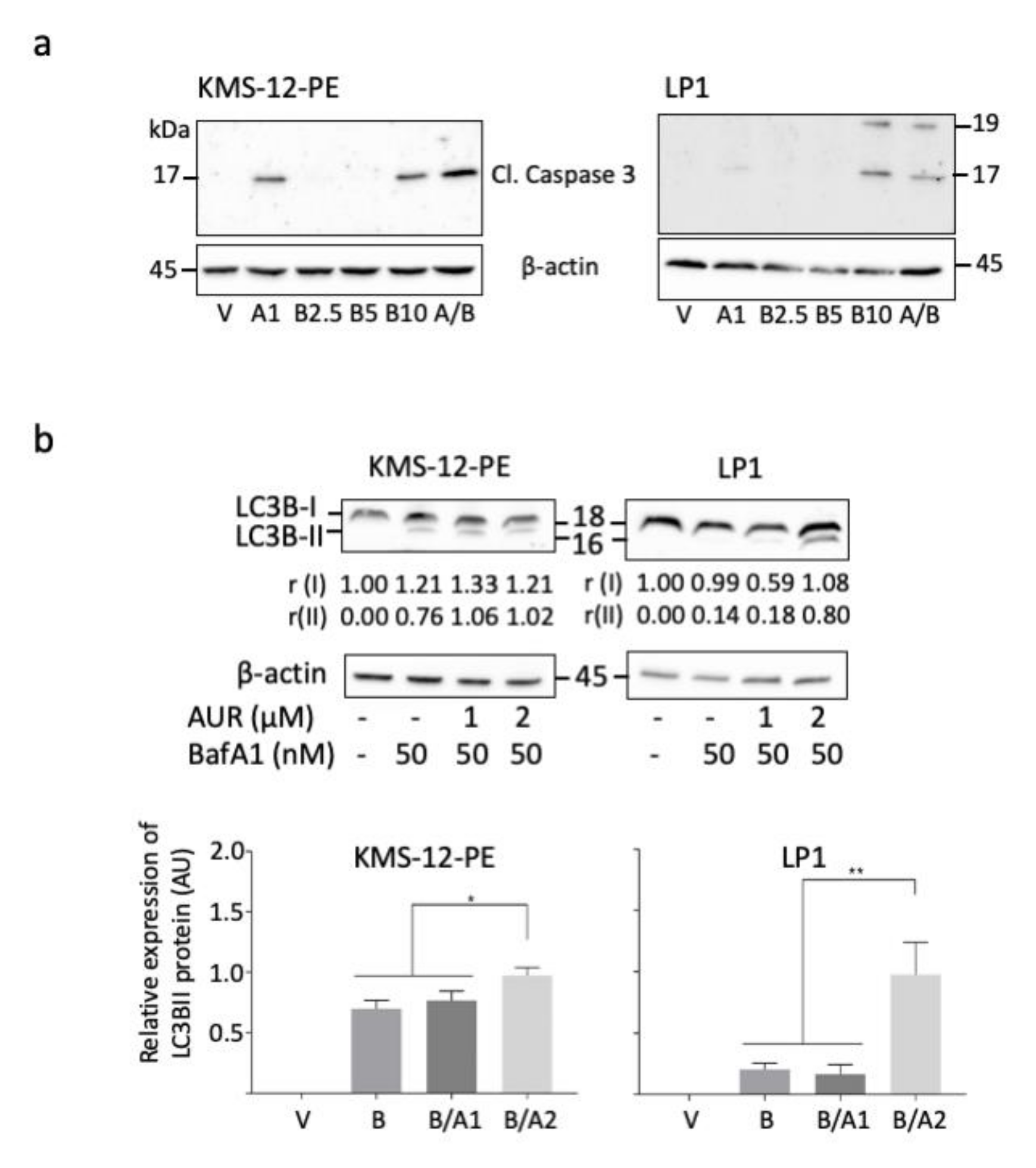 Cells 09 02357 g005 Cells 09 02357 g005