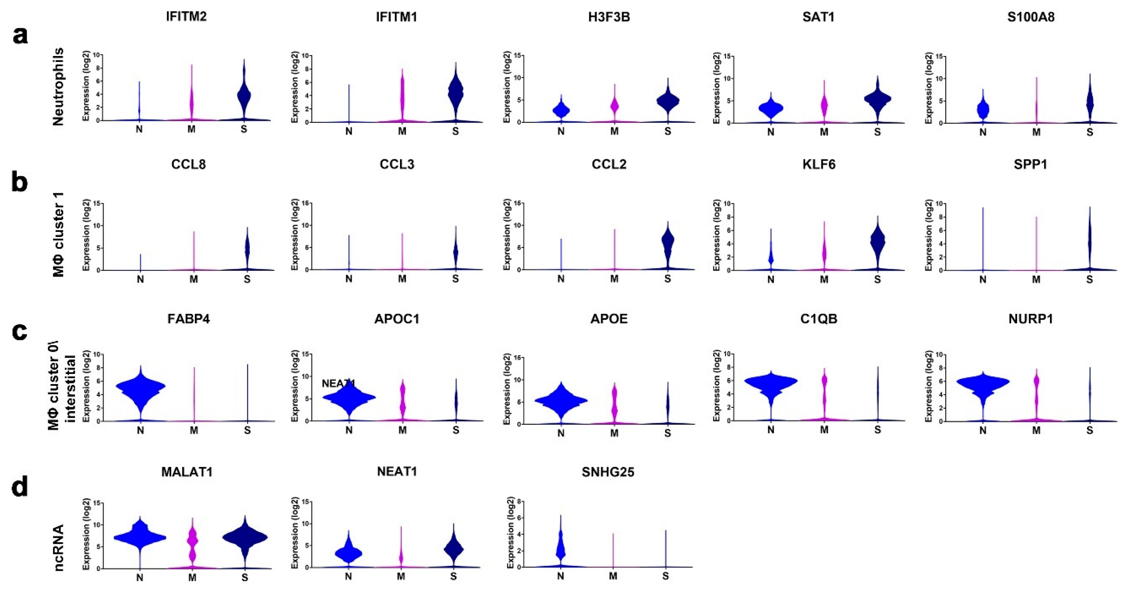 Cells 09 02374 g005 Cells 09 02374 g005
