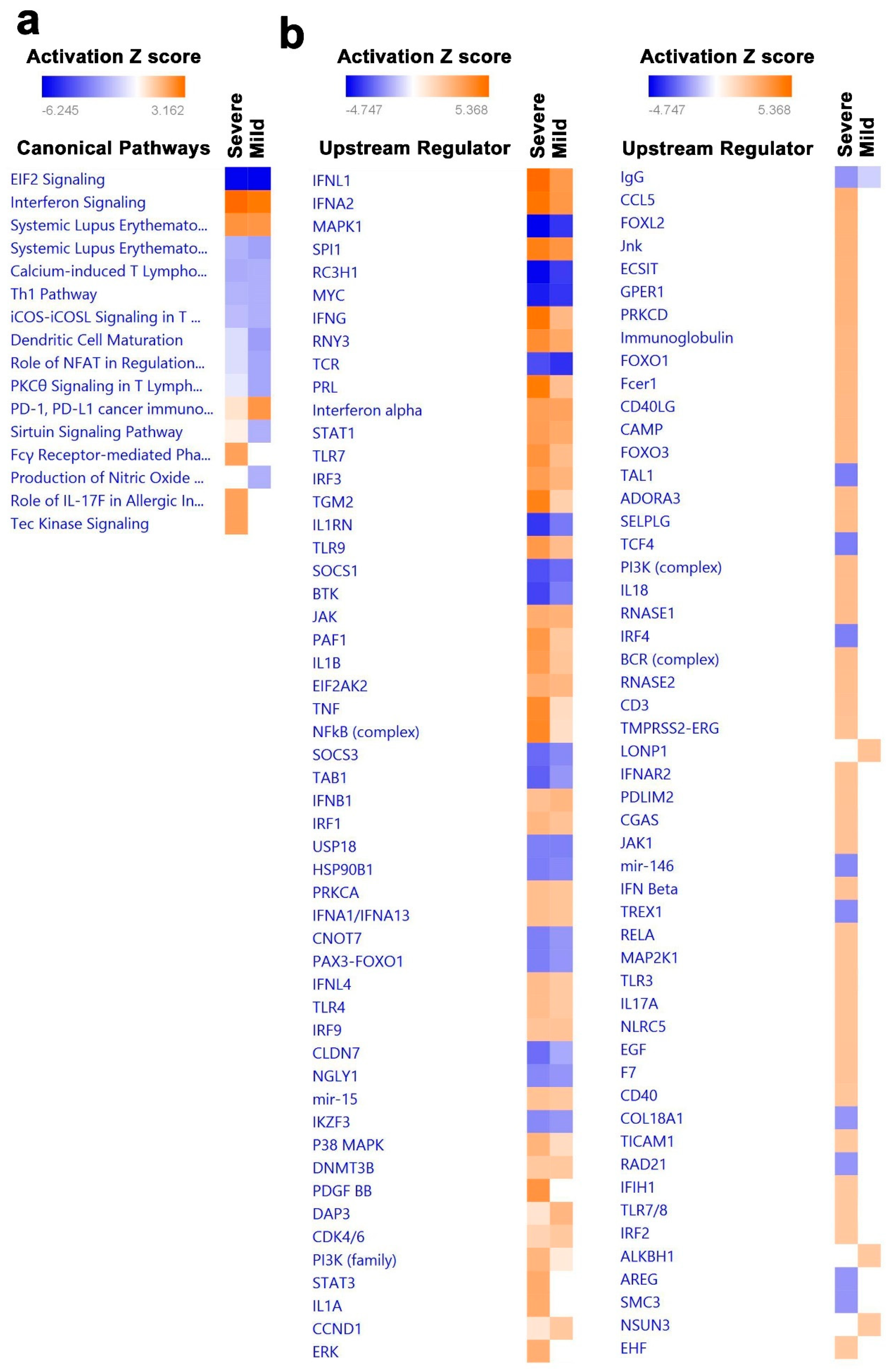 Cells 09 02374 g006 Cells 09 02374 g006
