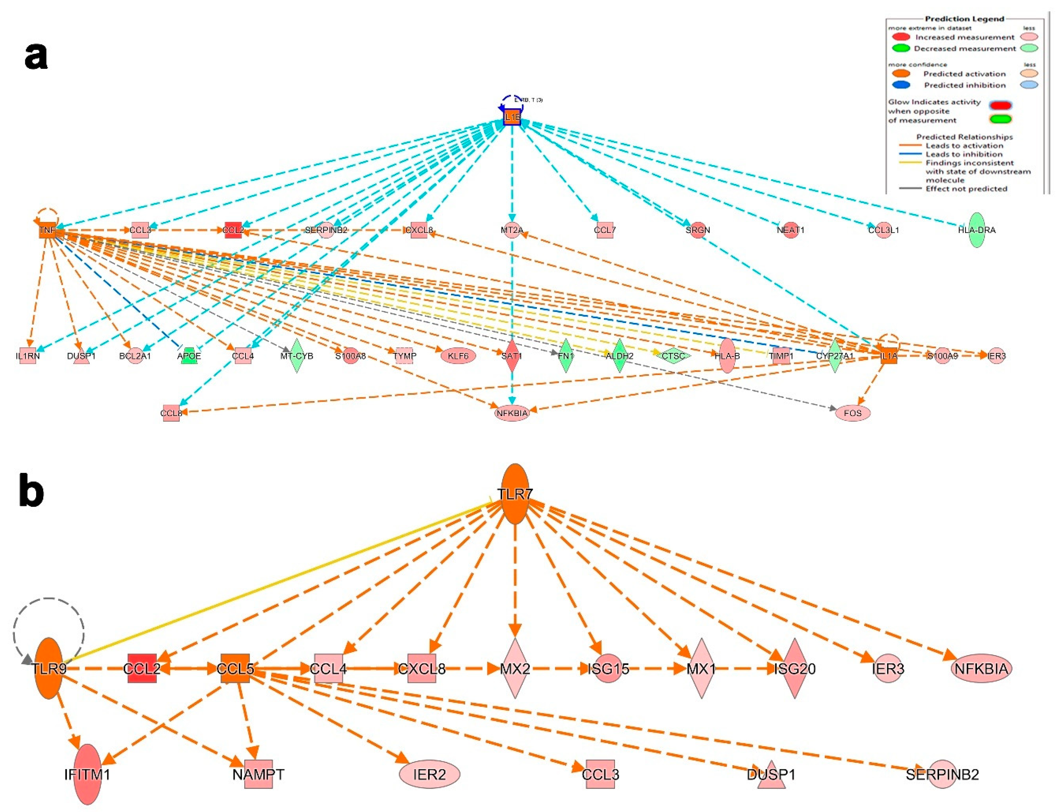 Cells 09 02374 g007 Cells 09 02374 g007