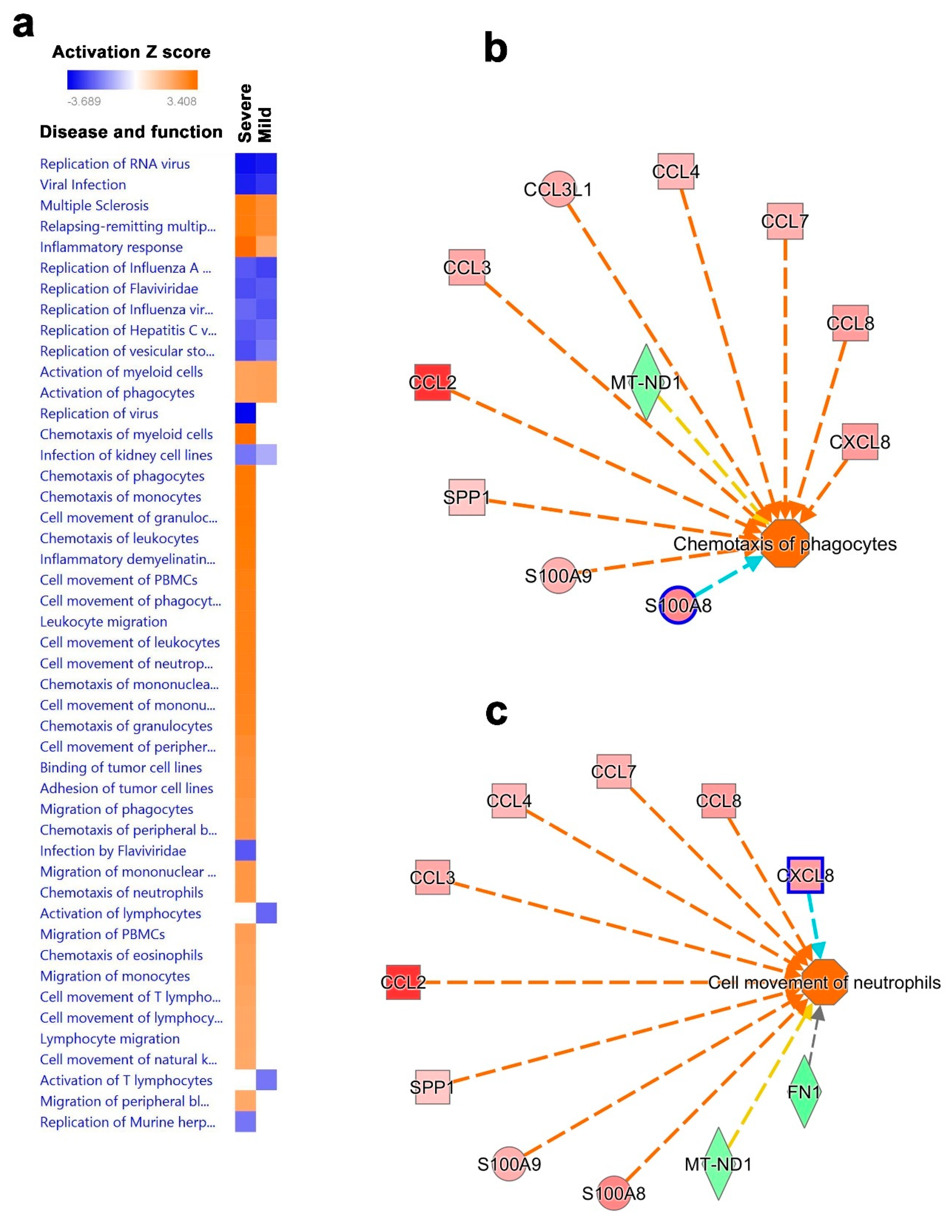 Cells 09 02374 g008 Cells 09 02374 g008