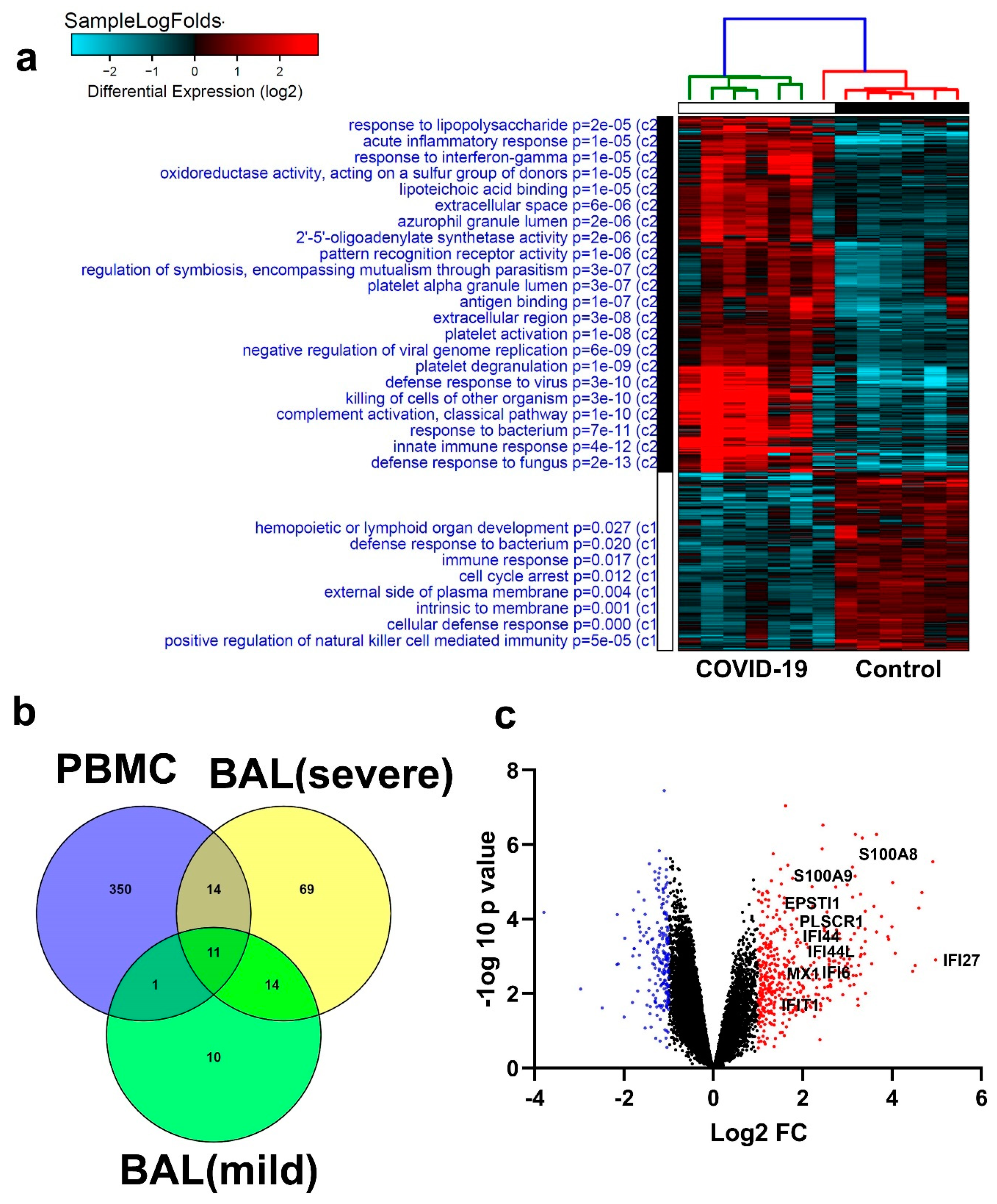 Cells 09 02374 g009 Cells 09 02374 g009