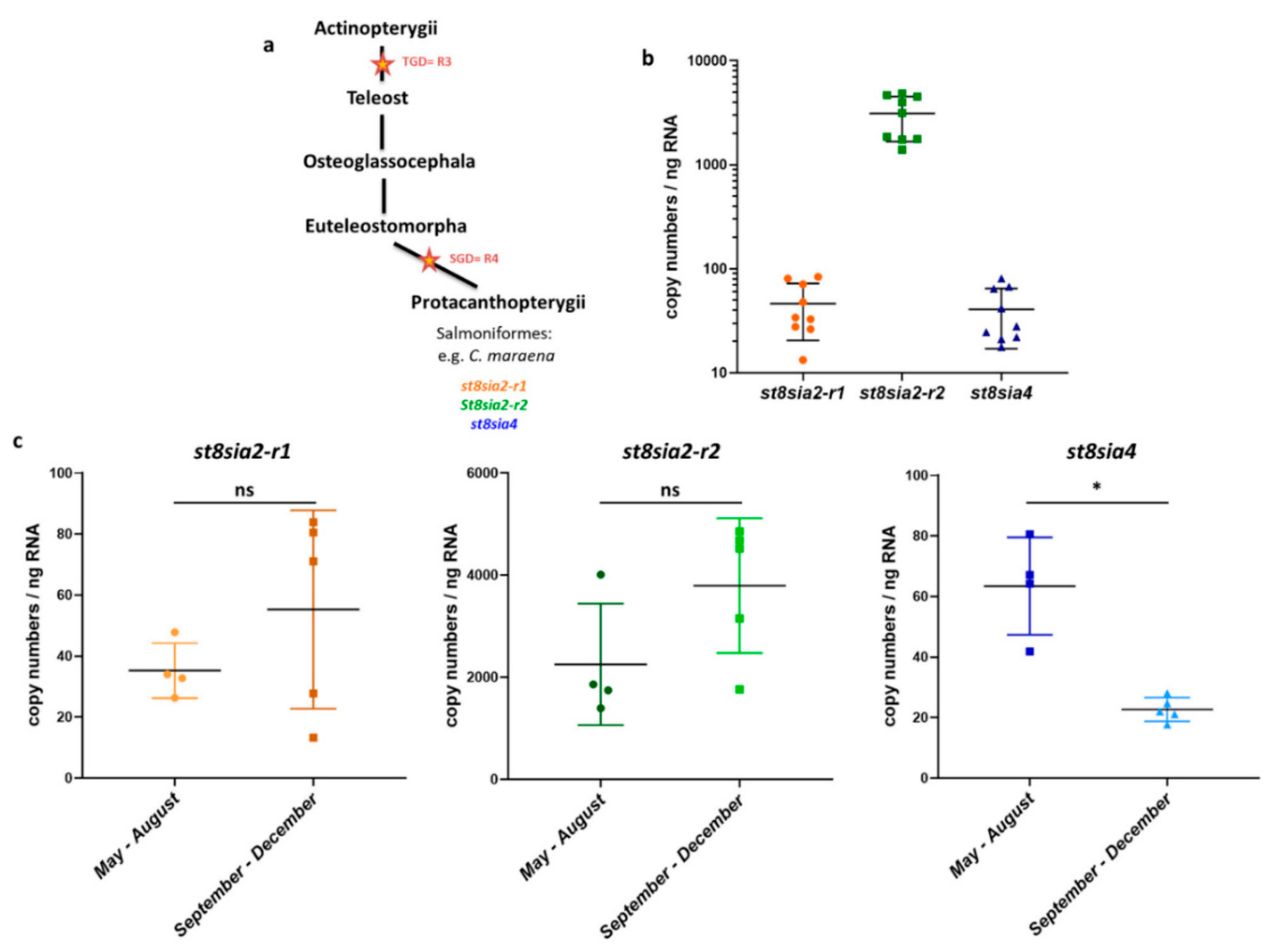 Cells 09 02391 g002 Cells 09 02391 g002