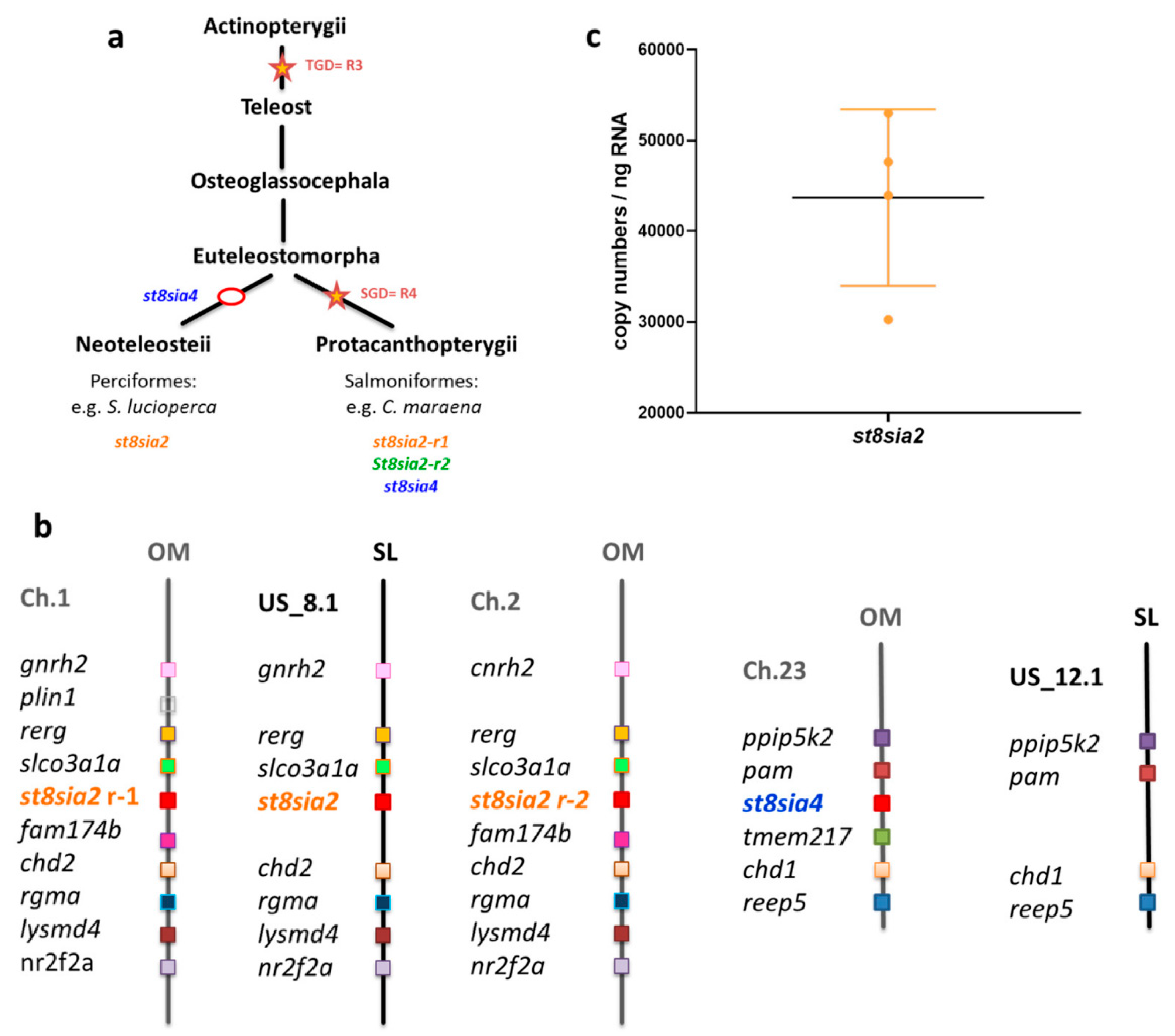Cells 09 02391 g006 Cells 09 02391 g006