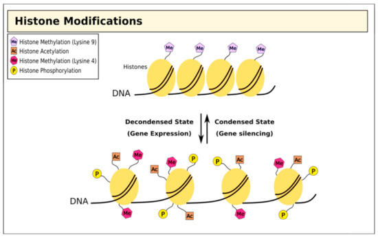 Cells 09 02403 g002 550