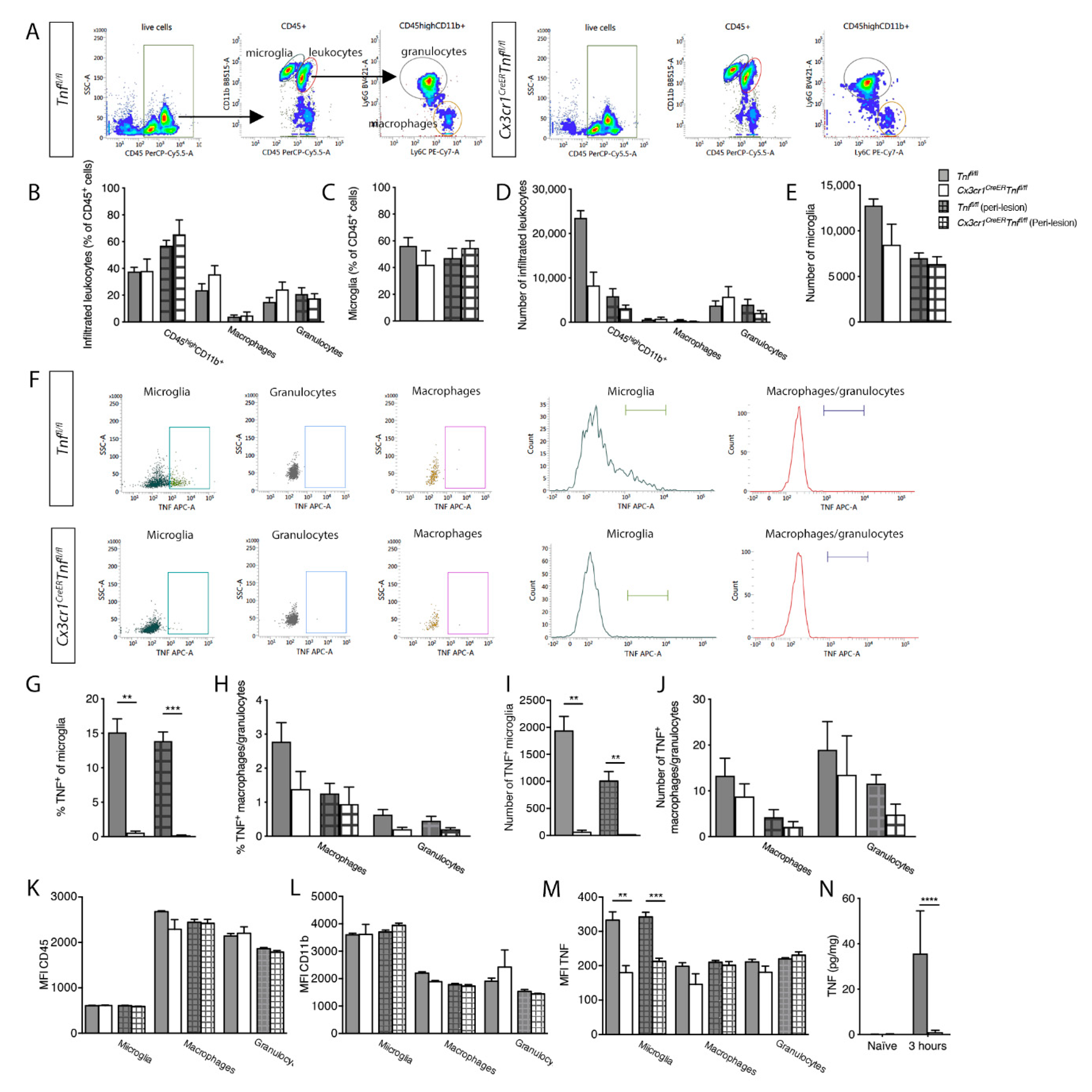 Cells 09 02407 g003 Cells 09 02407 g003
