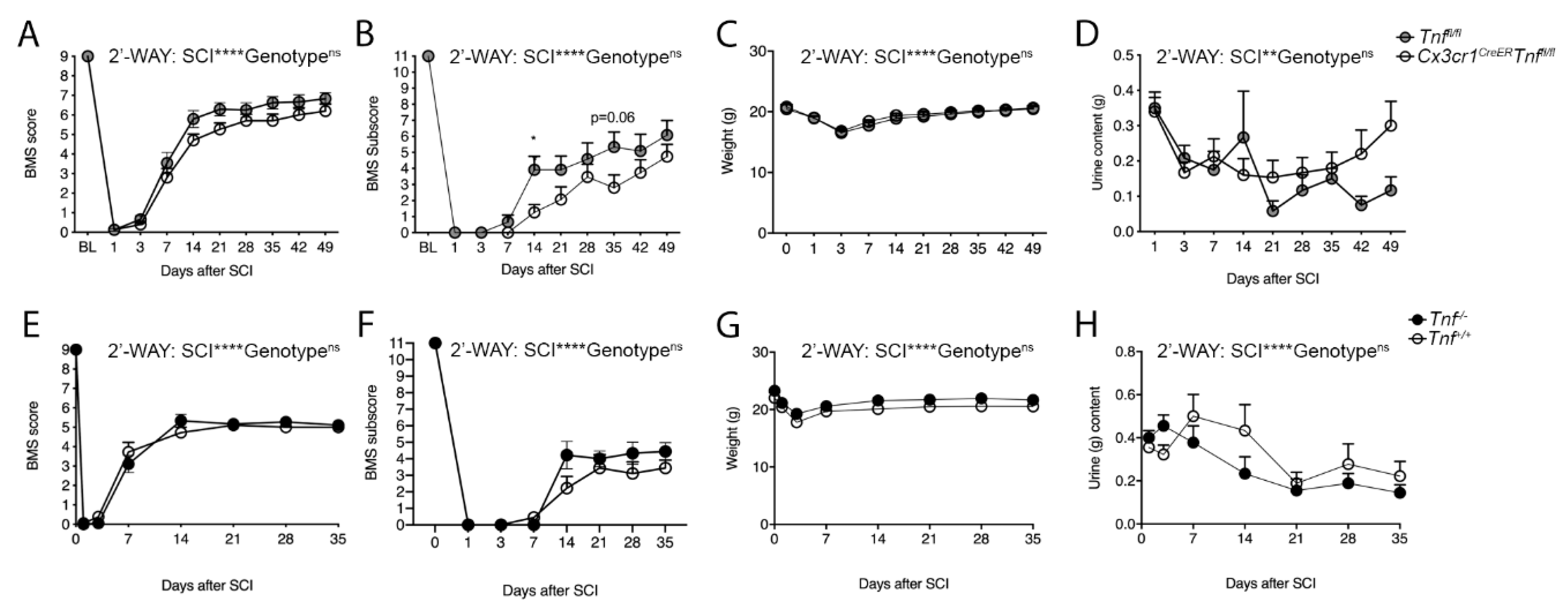 Cells 09 02407 g004 Cells 09 02407 g004