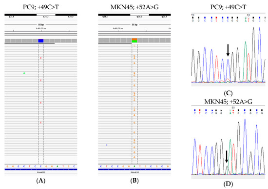Frequent Germline and Somatic Single Nucleotide Variants in the ...
