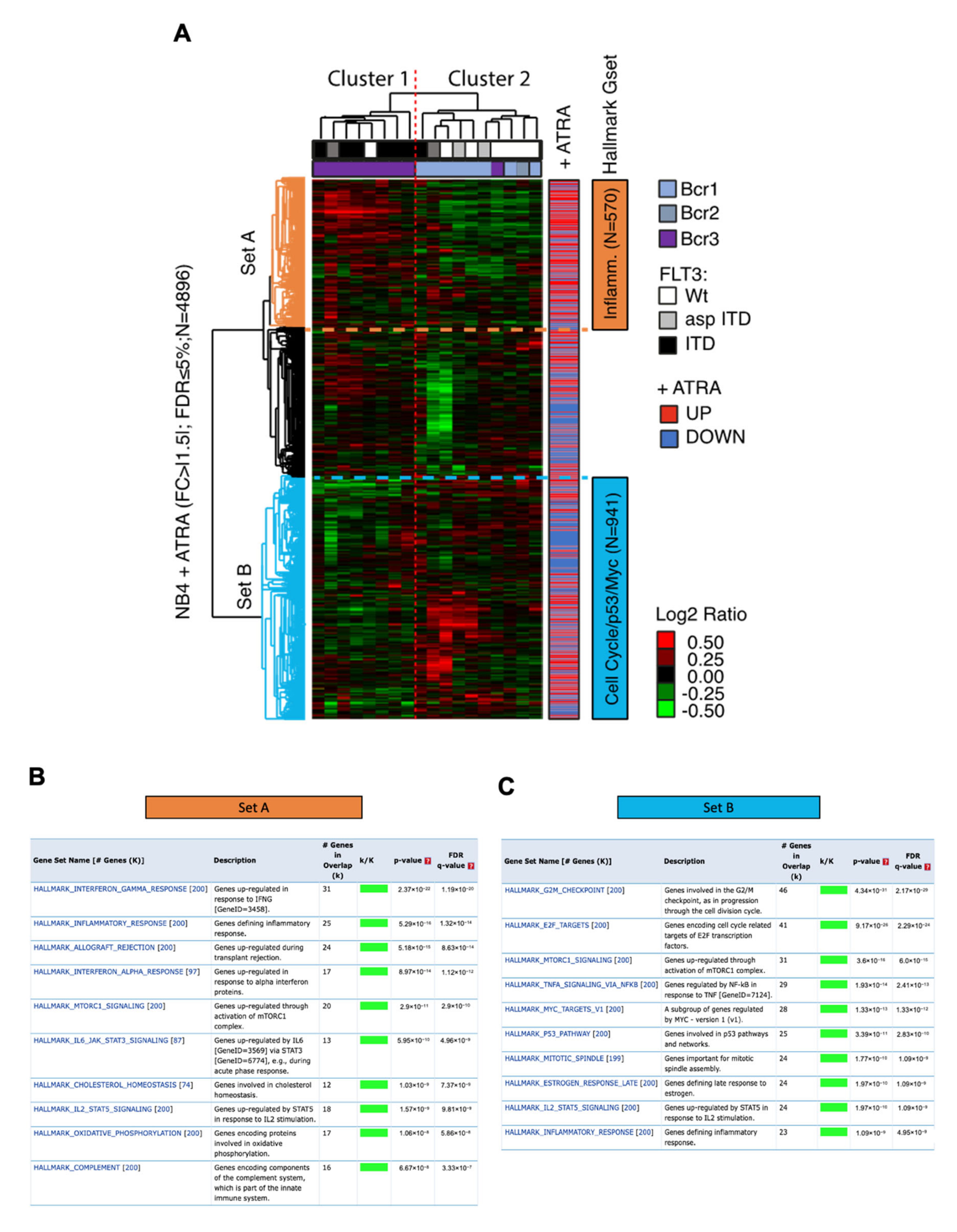 Cells 09 02423 g005 Cells 09 02423 g005