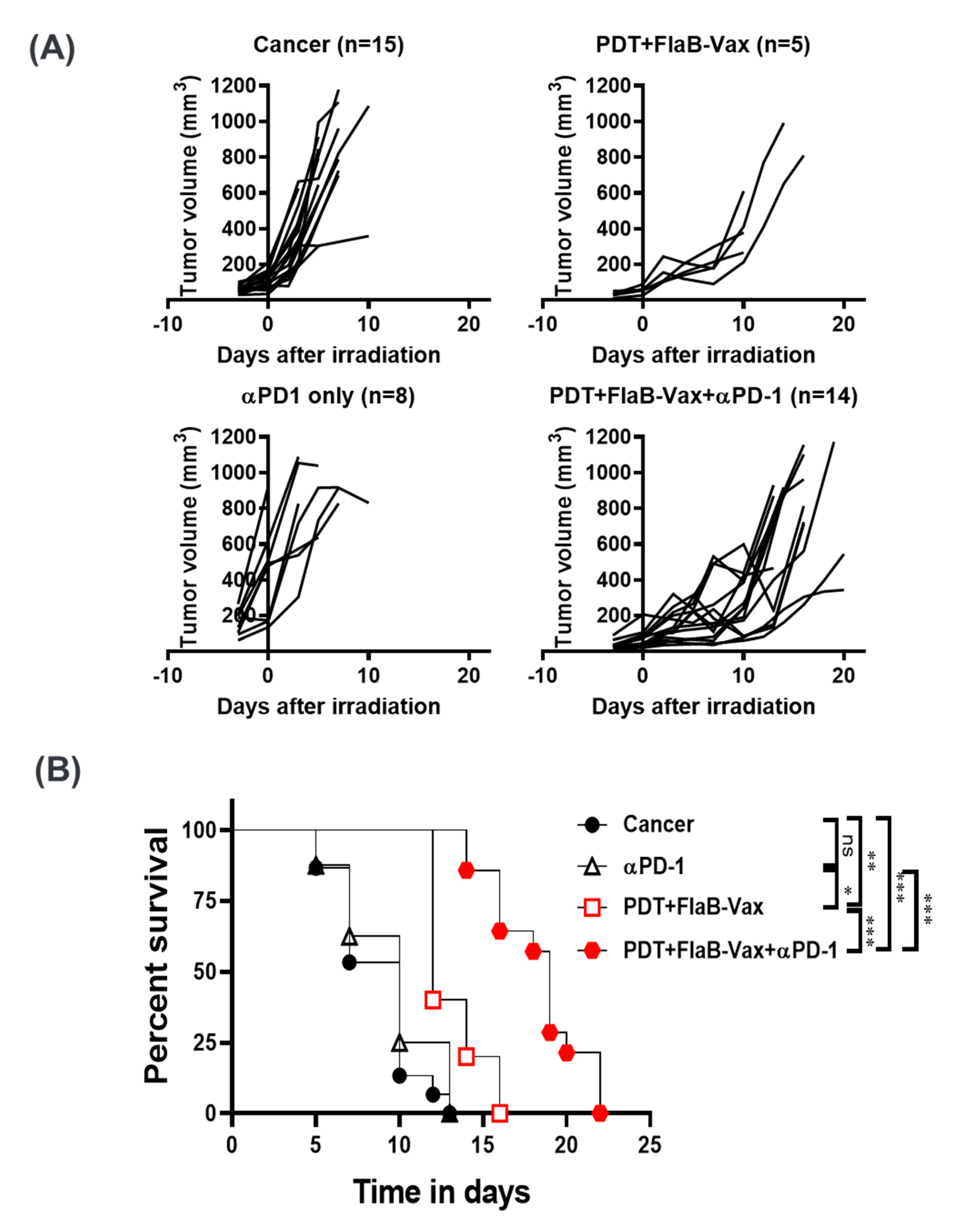 Cells 09 02432 g005a Cells 09 02432 g005a