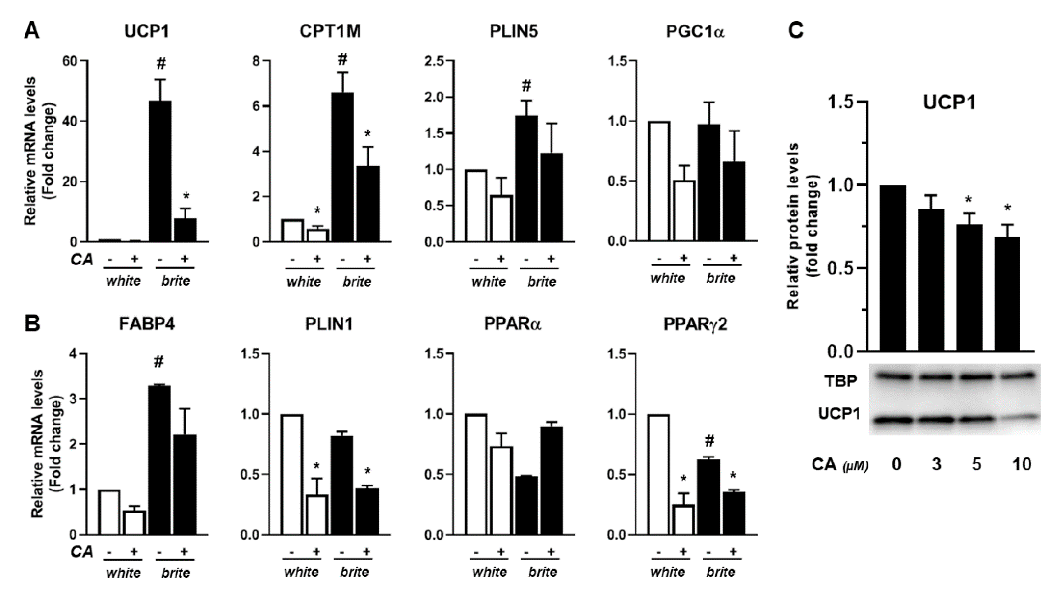 Cells 09 02433 g002 Cells 09 02433 g002