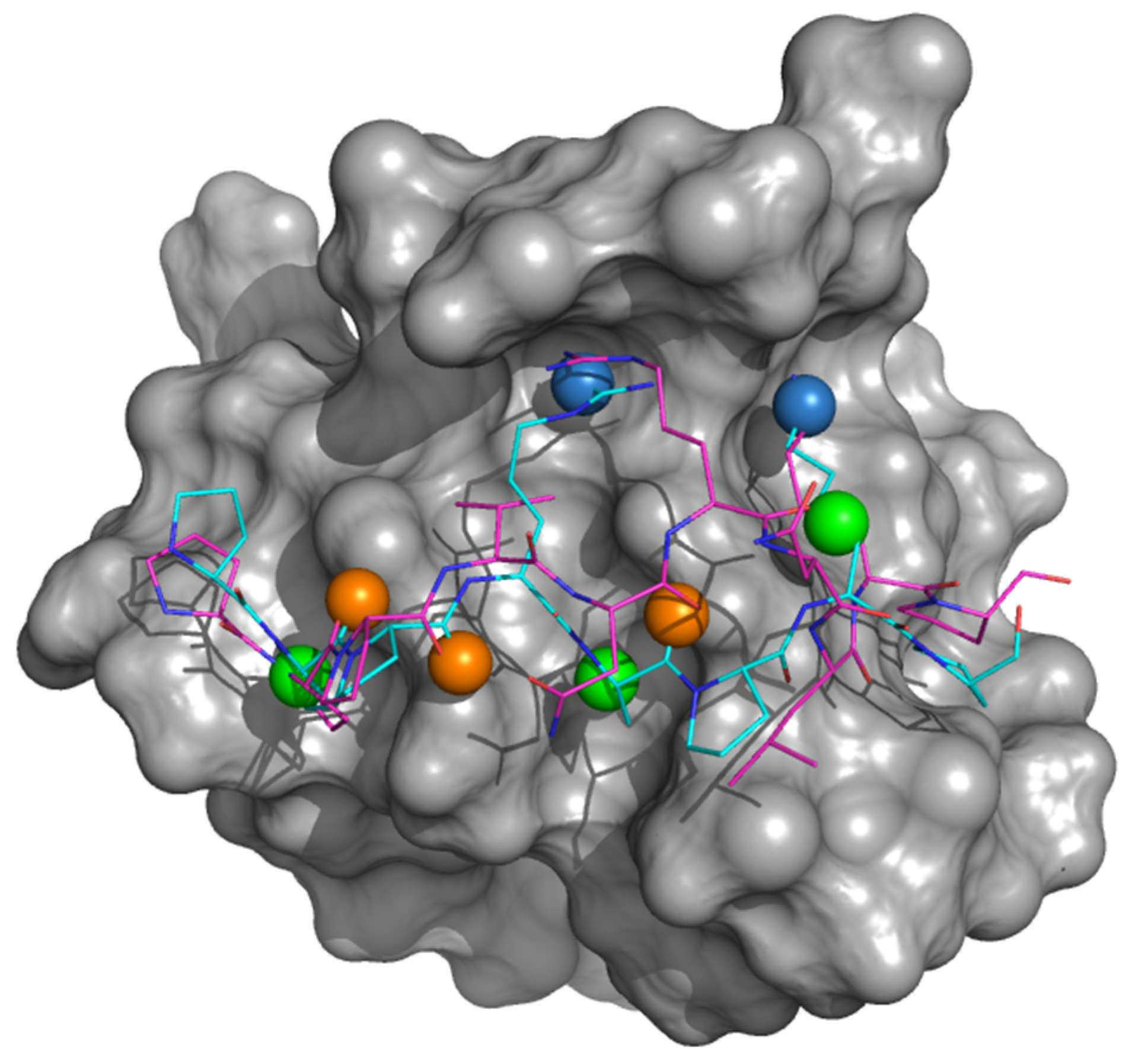 Cells 09 02435 g001 Cells 09 02435 g001