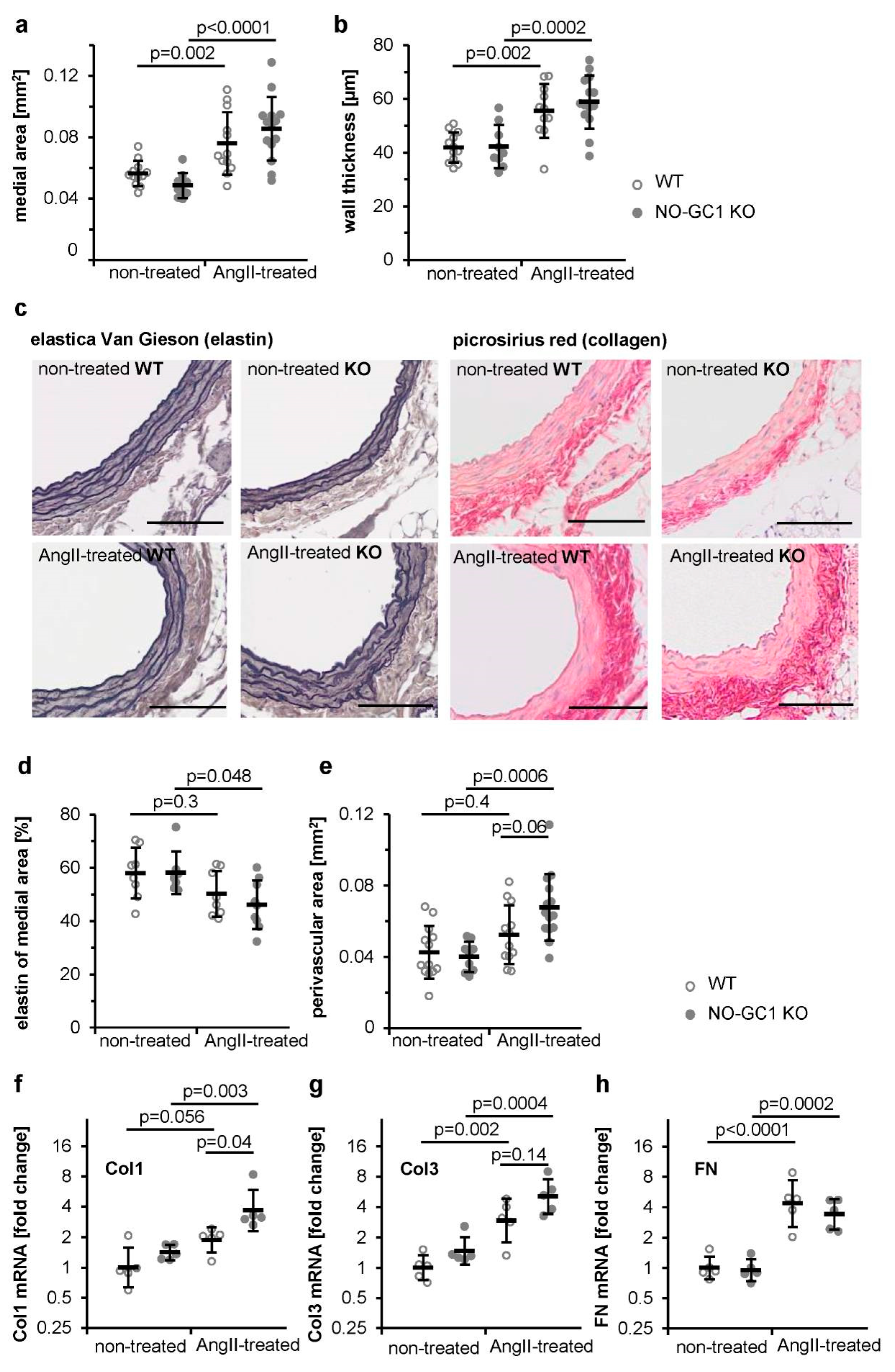 Cells 09 02436 g001 Cells 09 02436 g001