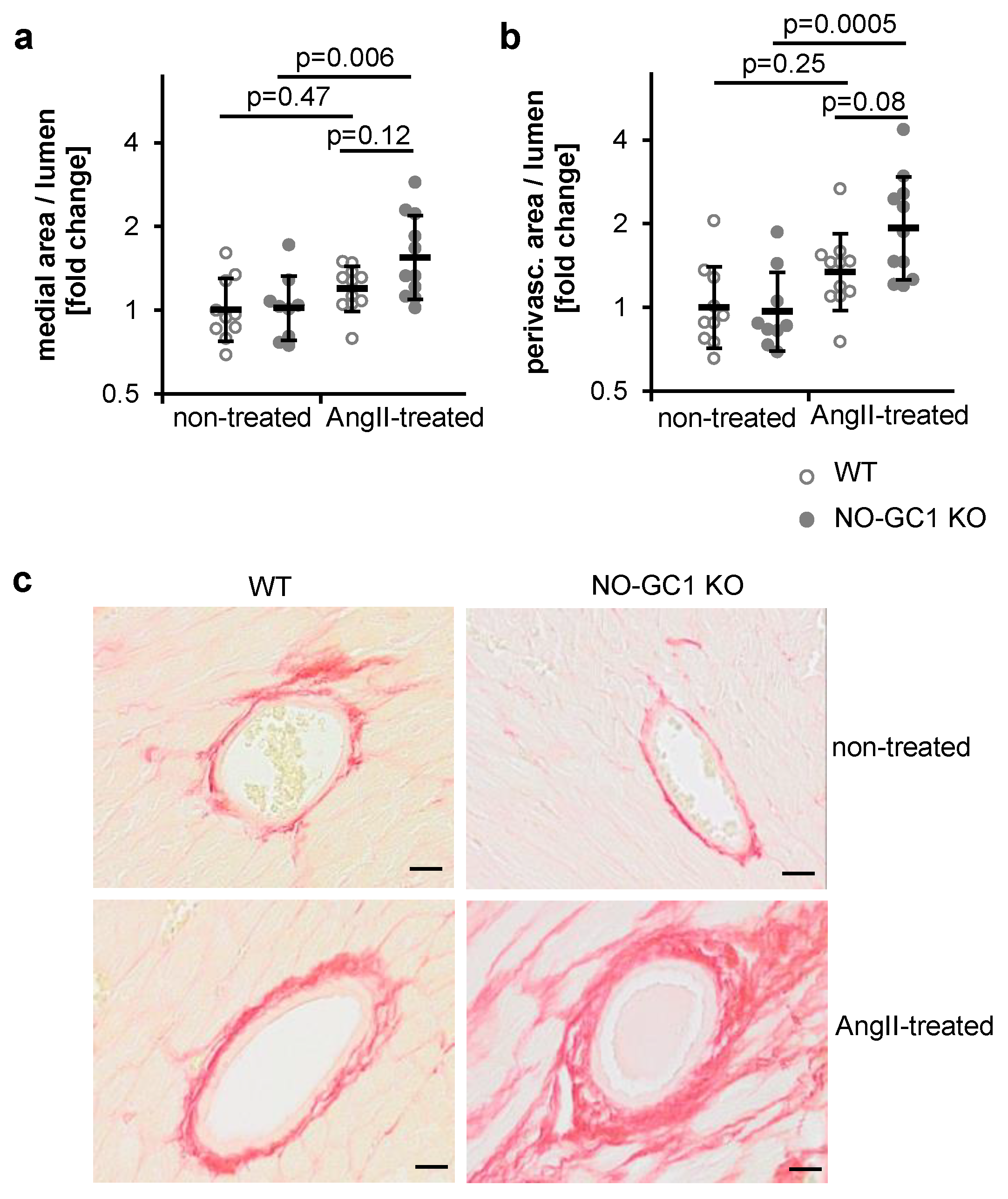 Cells 09 02436 g002 Cells 09 02436 g002