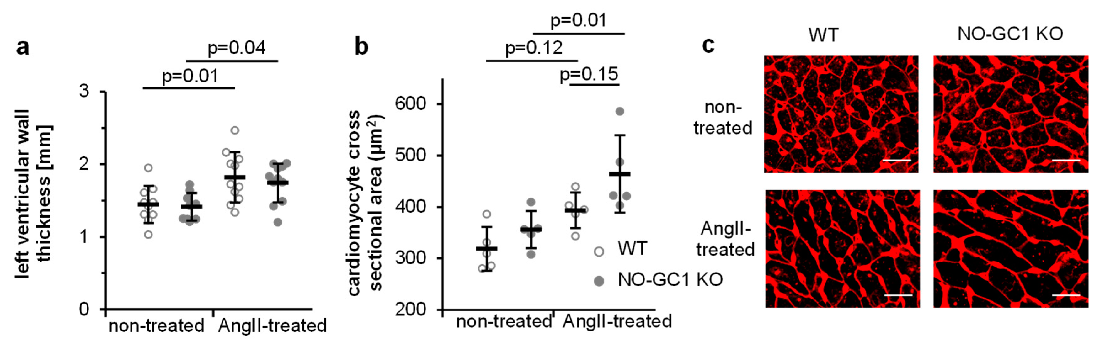 Cells 09 02436 g003 Cells 09 02436 g003