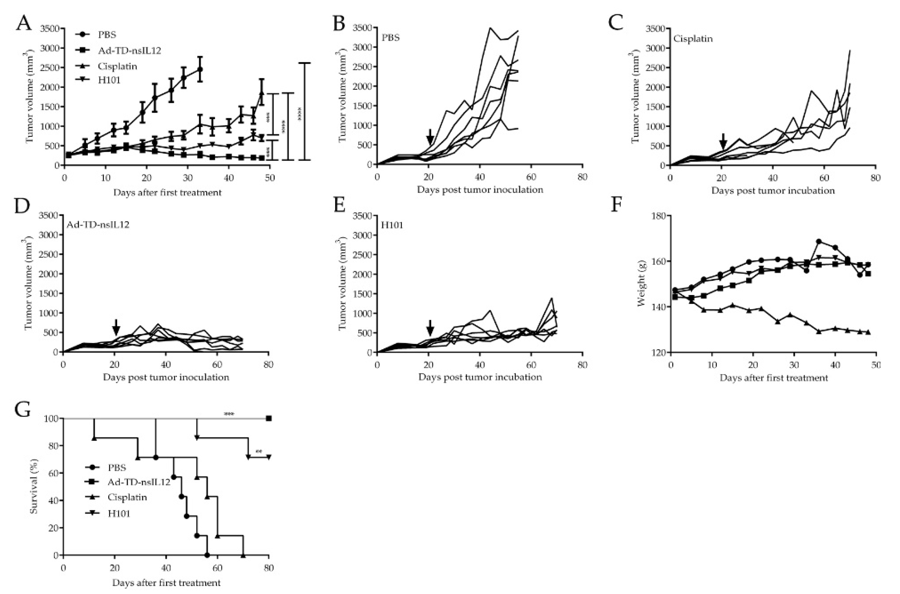Cells 09 02438 g004 Cells 09 02438 g004