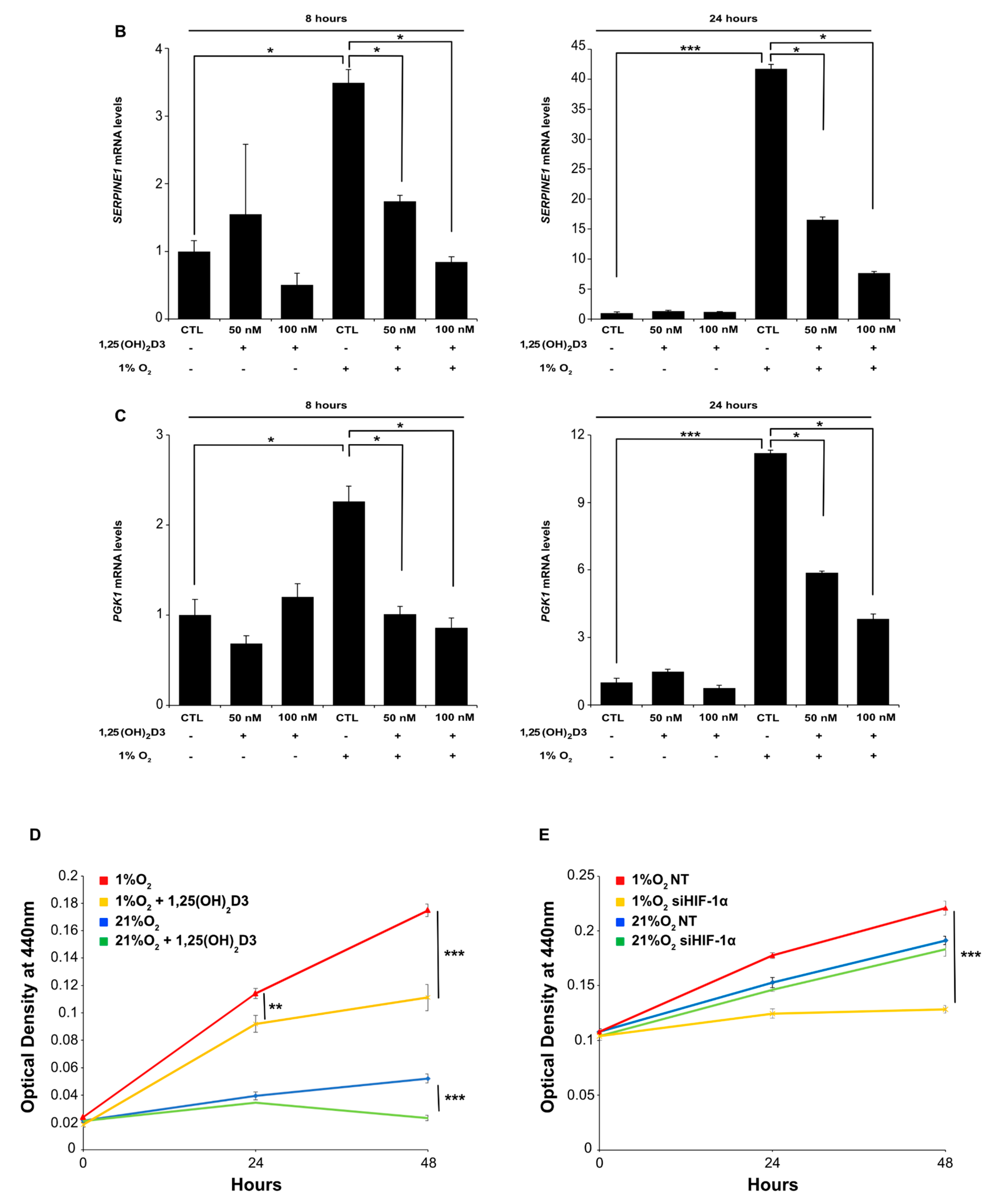 Cells 09 02440 g003b Cells 09 02440 g003b