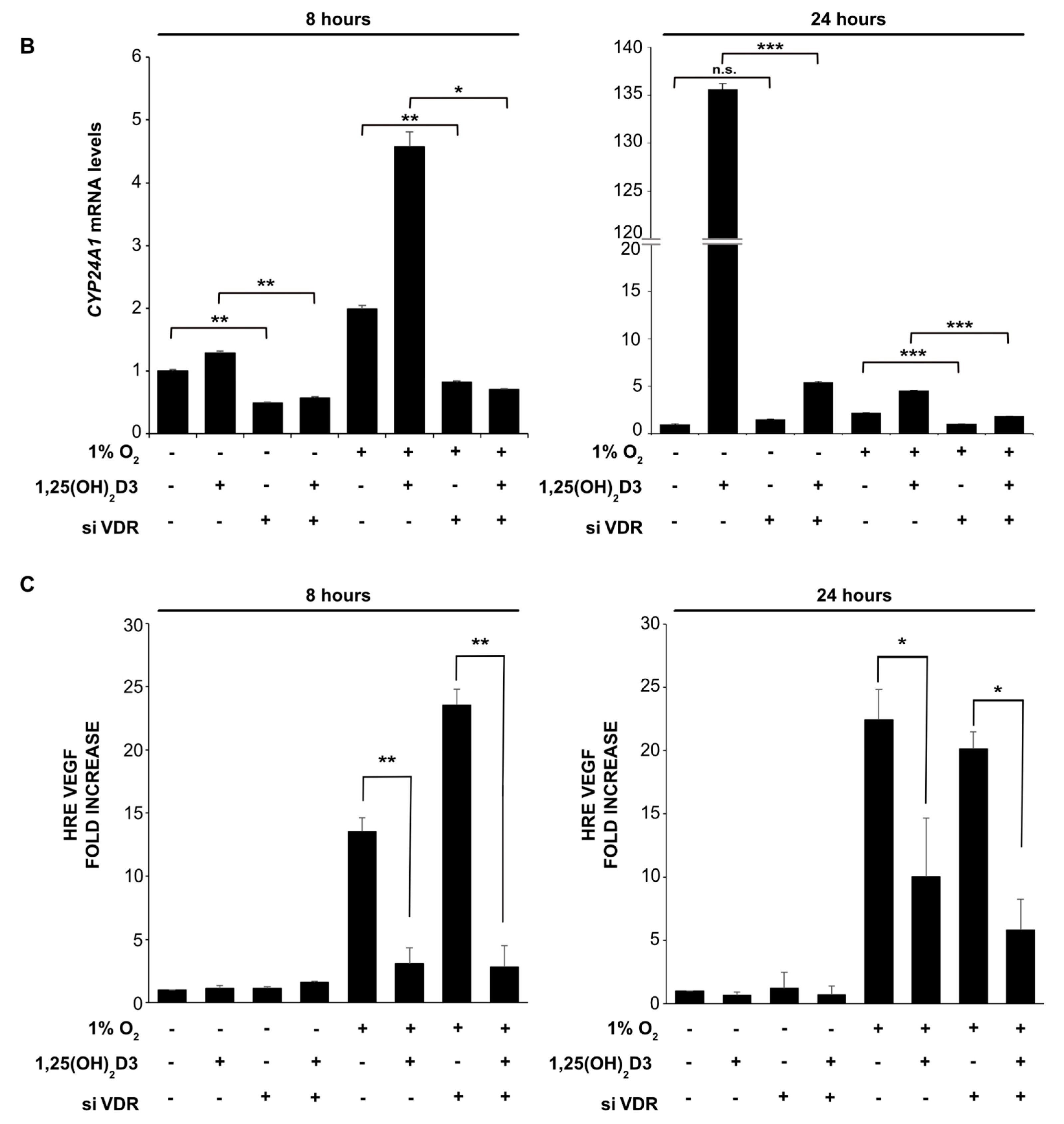 Cells 09 02440 g004b Cells 09 02440 g004b