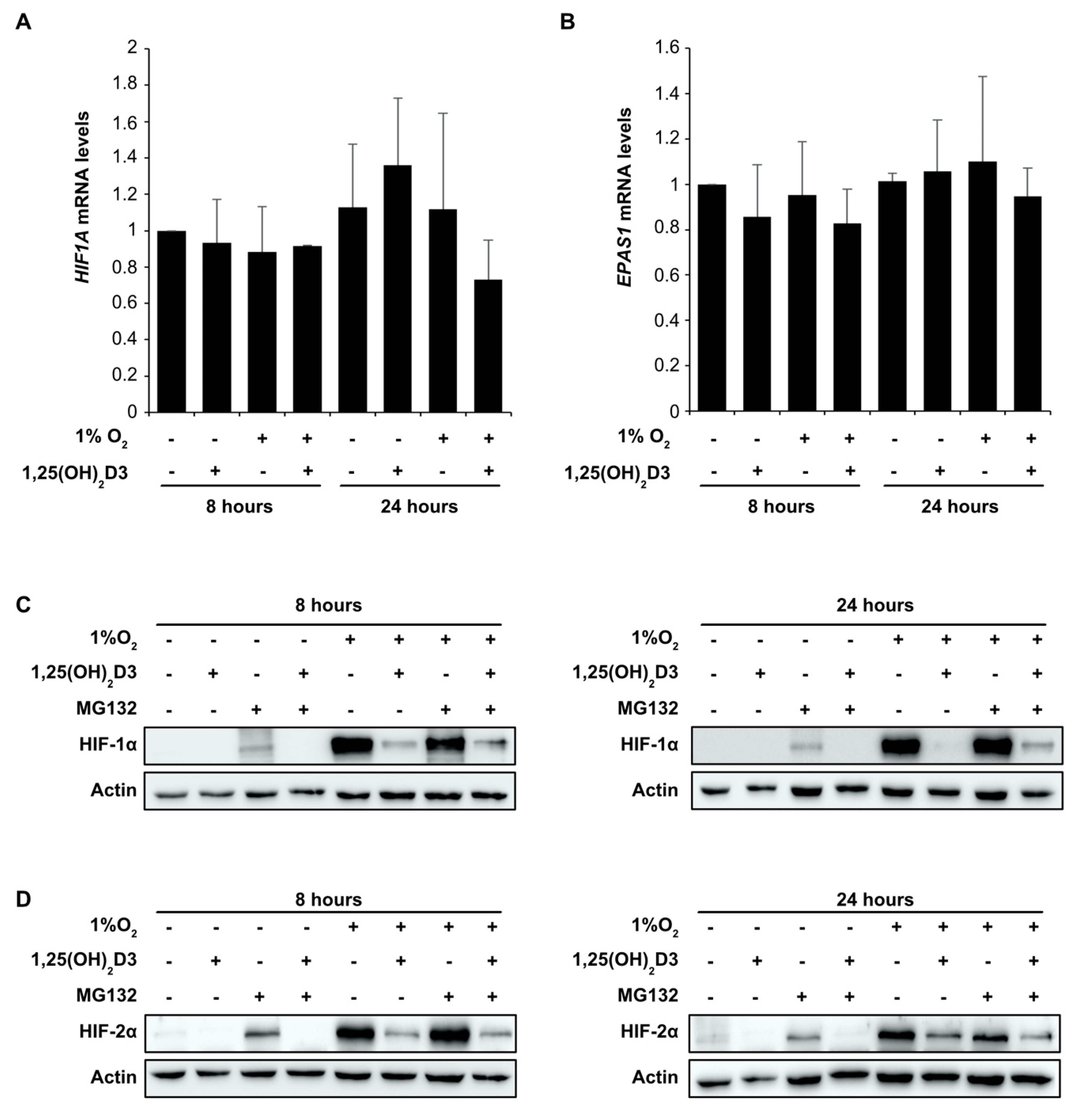 Cells 09 02440 g005 Cells 09 02440 g005