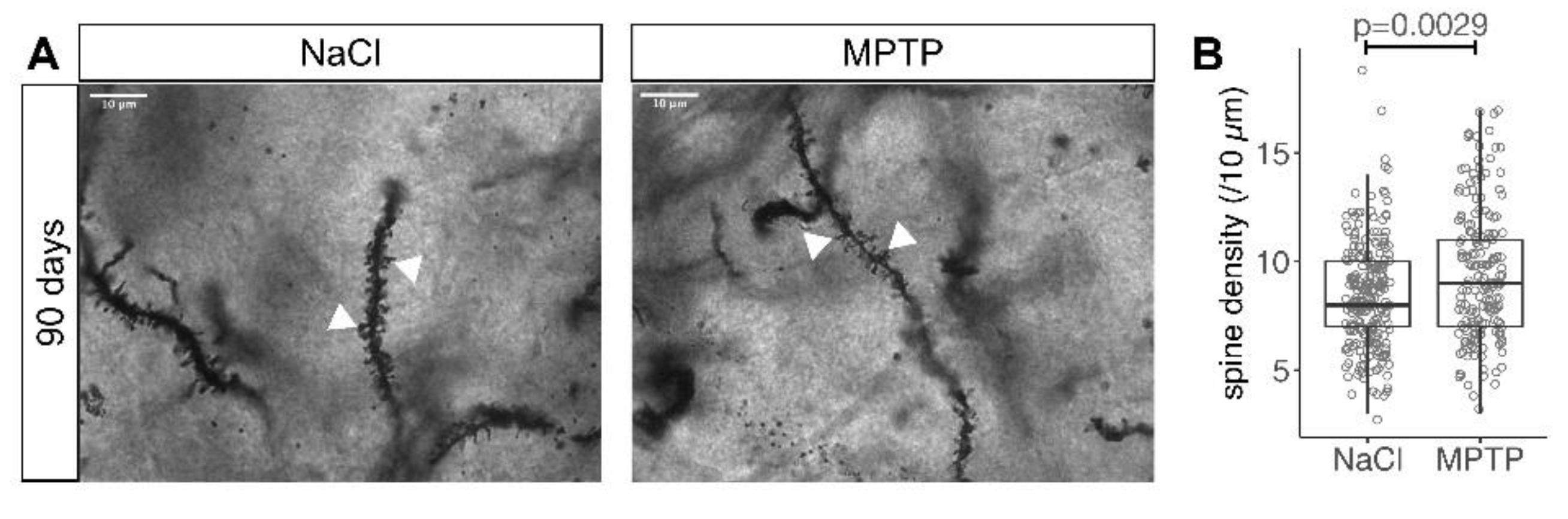 Cells 09 02441 g005 Cells 09 02441 g005