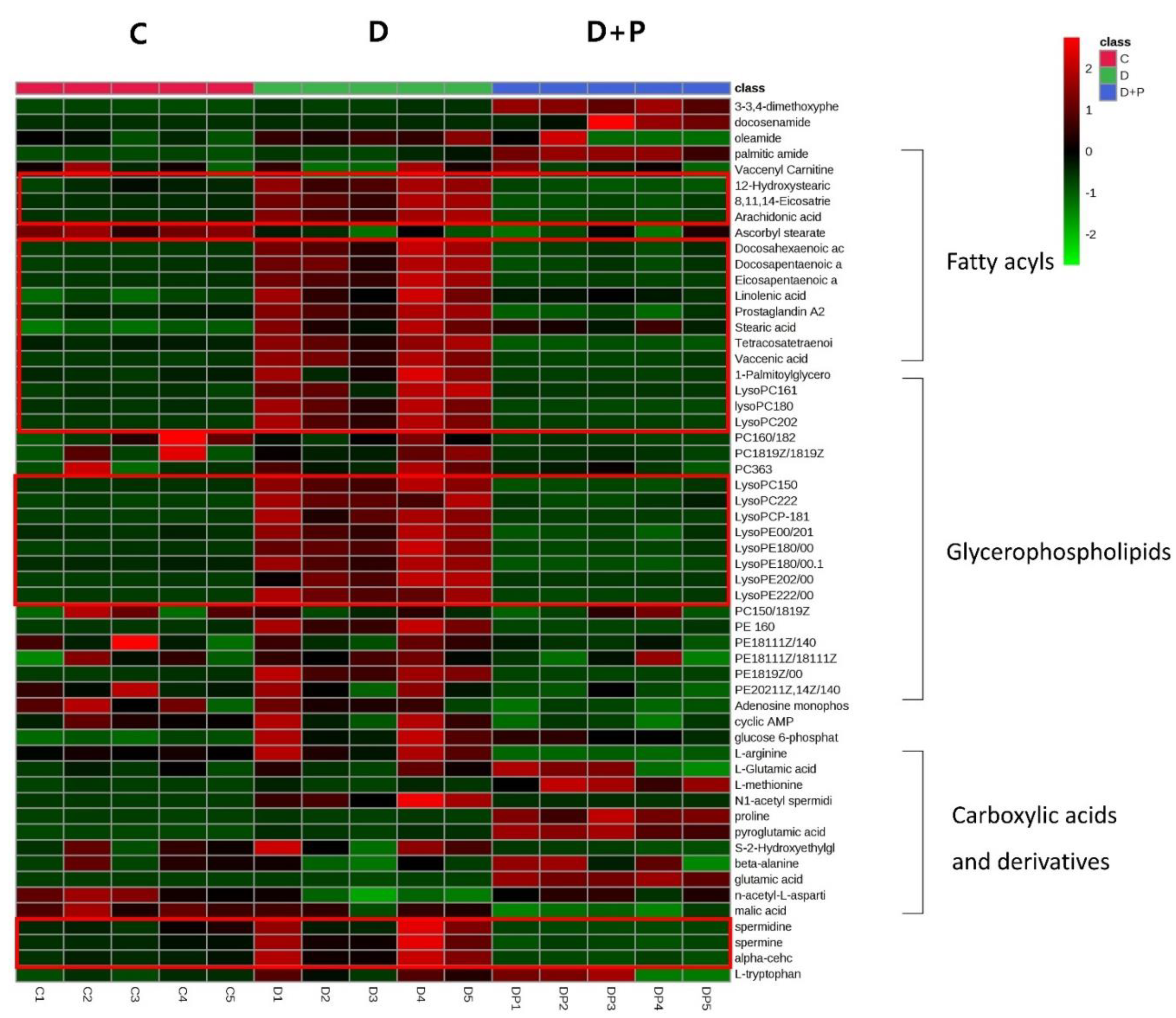 Cells 09 02447 g005 Cells 09 02447 g005