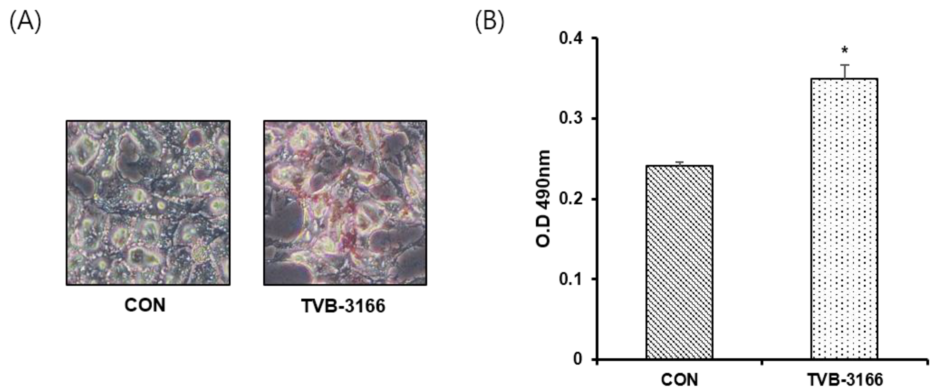 Cells 09 02447 g006 Cells 09 02447 g006