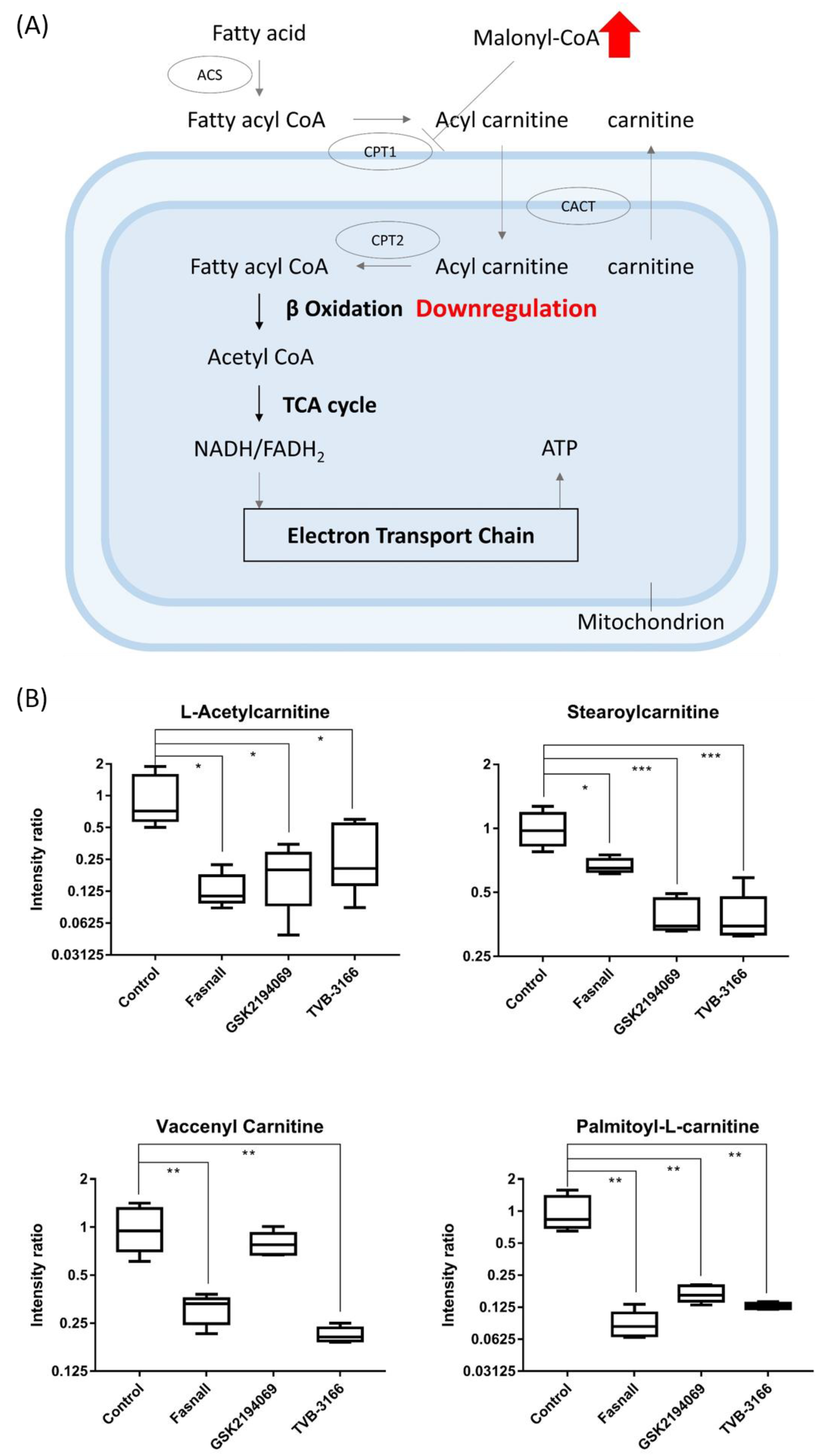 Cells 09 02447 g007 Cells 09 02447 g007