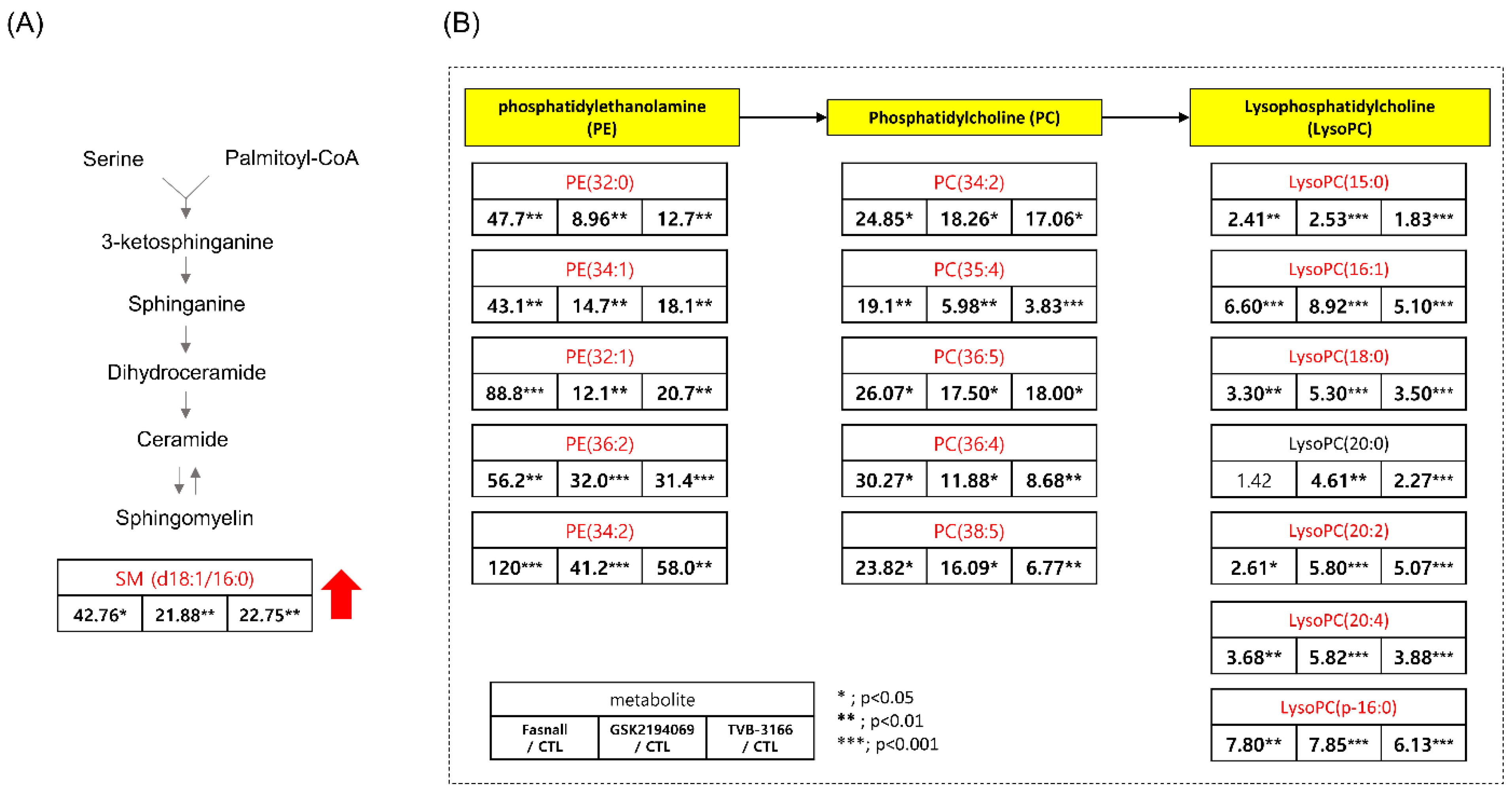 Cells 09 02447 g008 Cells 09 02447 g008