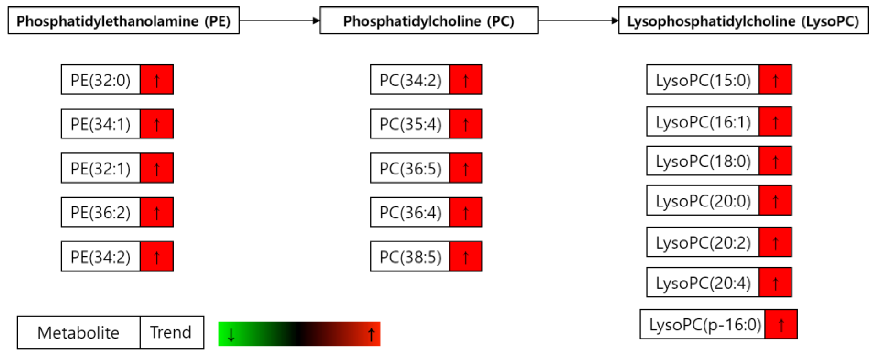 Cells 09 02447 g011 Cells 09 02447 g011