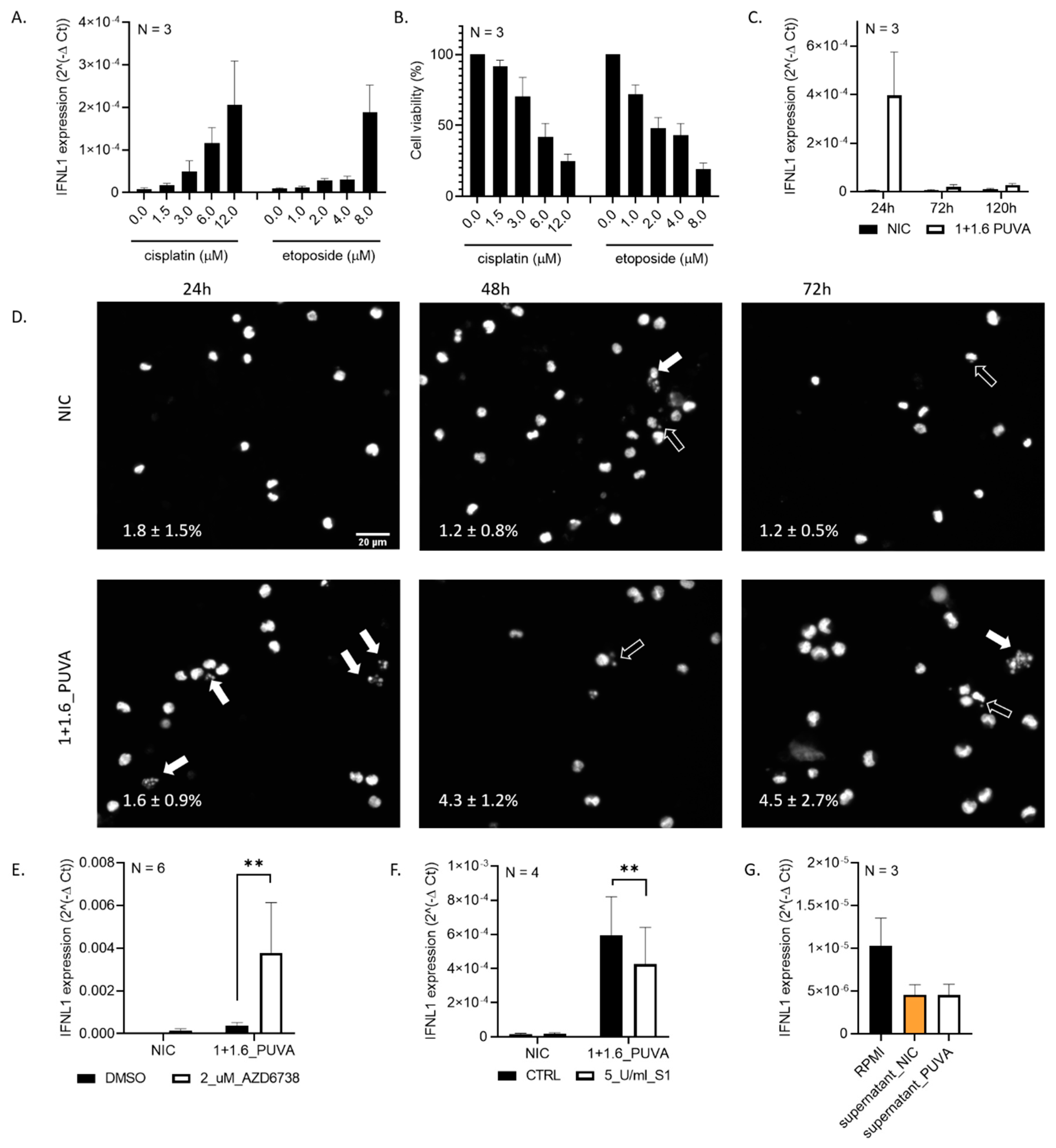 Cells 09 02452 g002 Cells 09 02452 g002