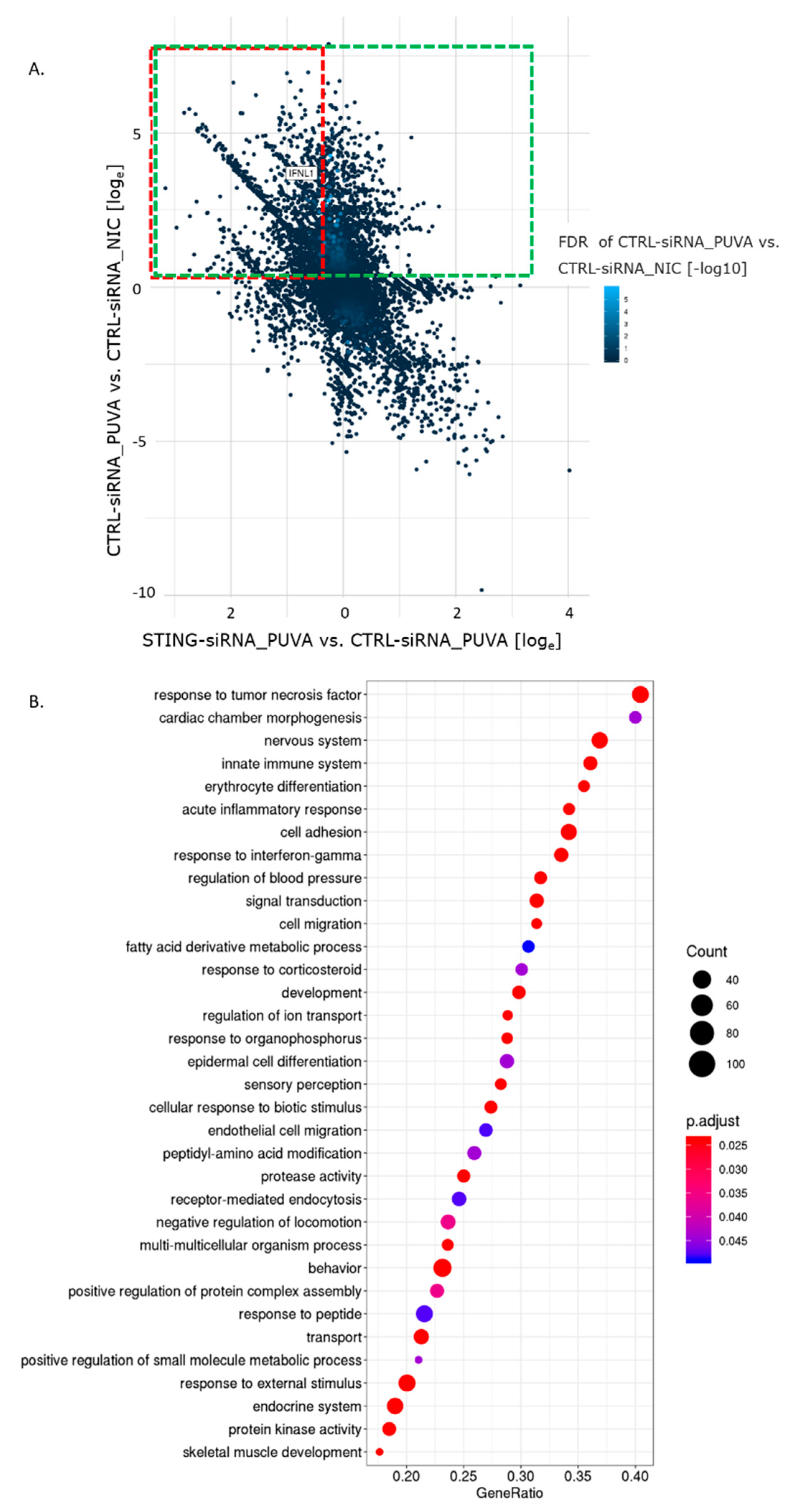 Cells 09 02452 g004 Cells 09 02452 g004