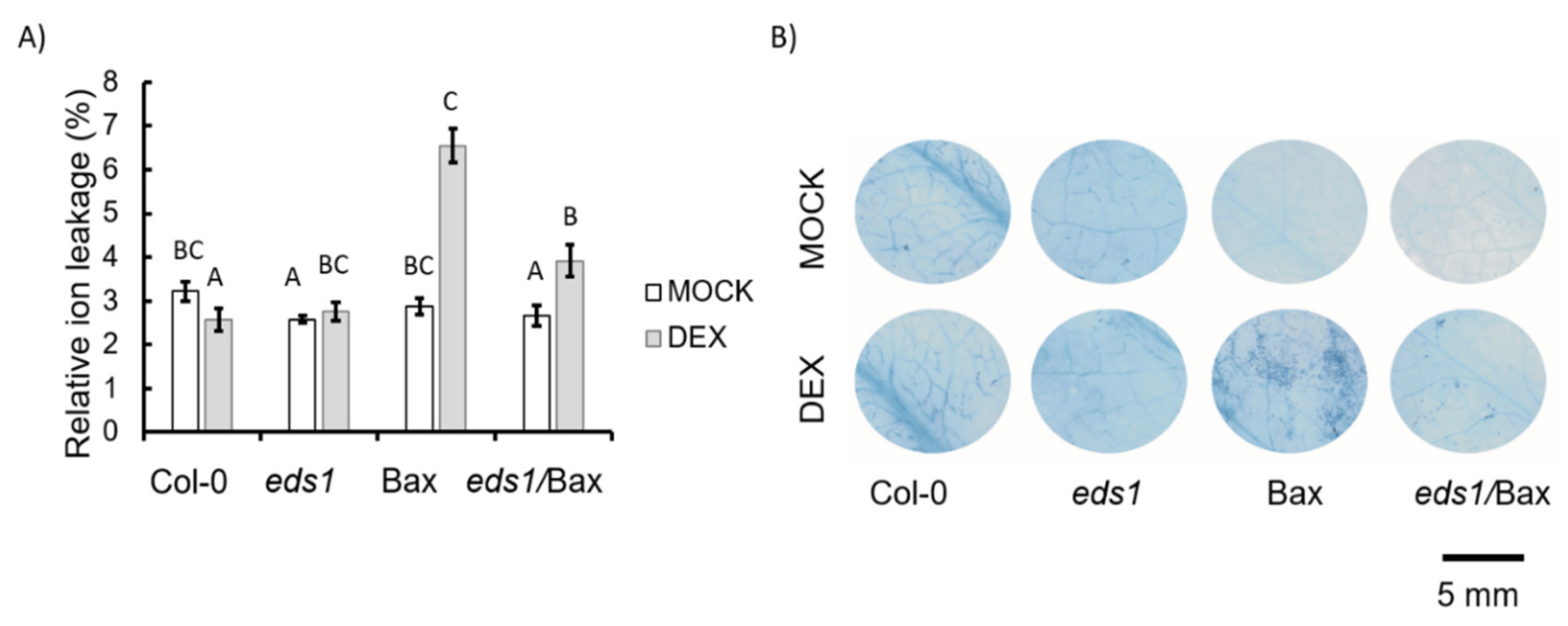 Cells 09 02454 g002 Cells 09 02454 g002