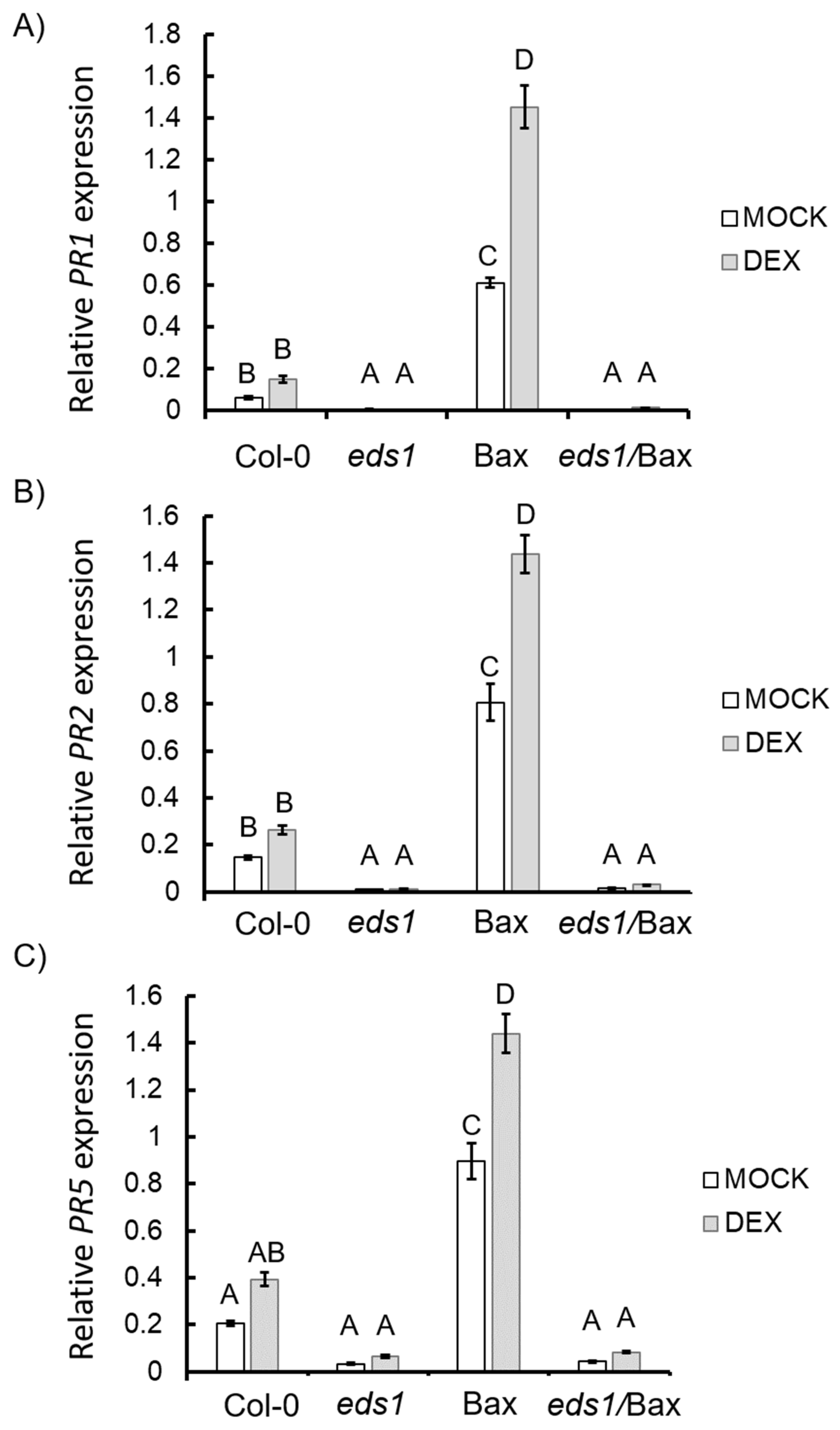 Cells 09 02454 g005 Cells 09 02454 g005