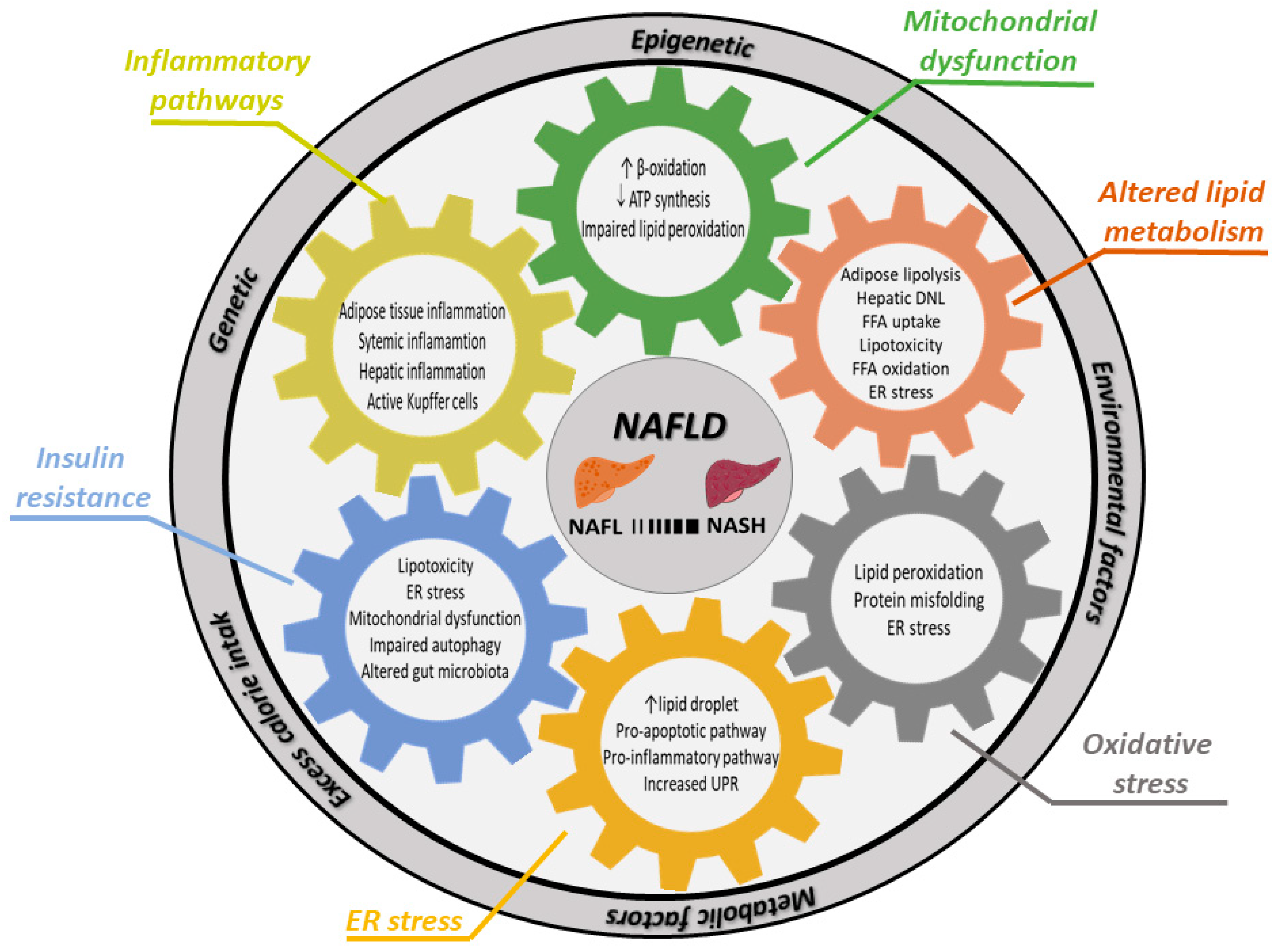 Cells 09 02458 g001 Cells 09 02458 g001