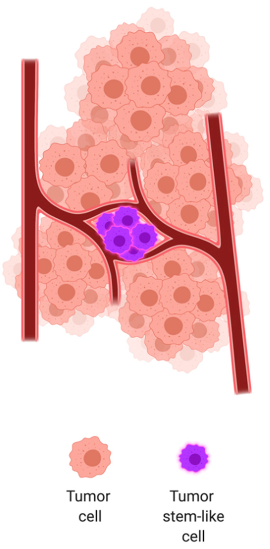Cells 09 02467 g001 Cells 09 02467 g001
