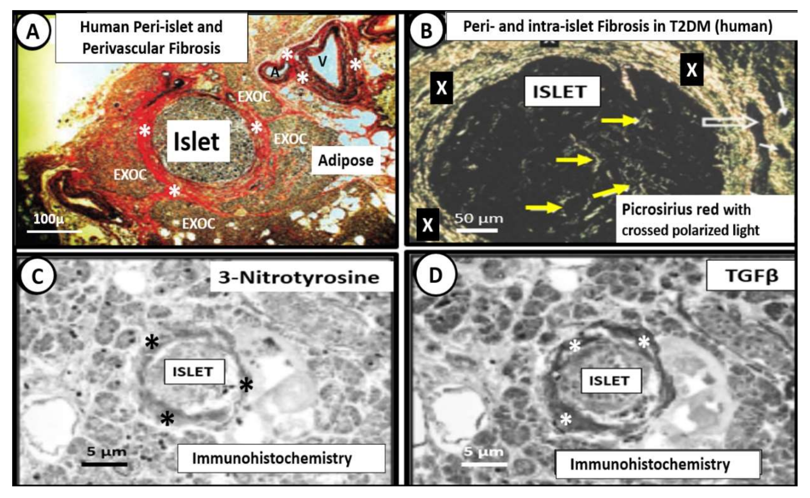 Cells 09 02475 g009 Cells 09 02475 g009