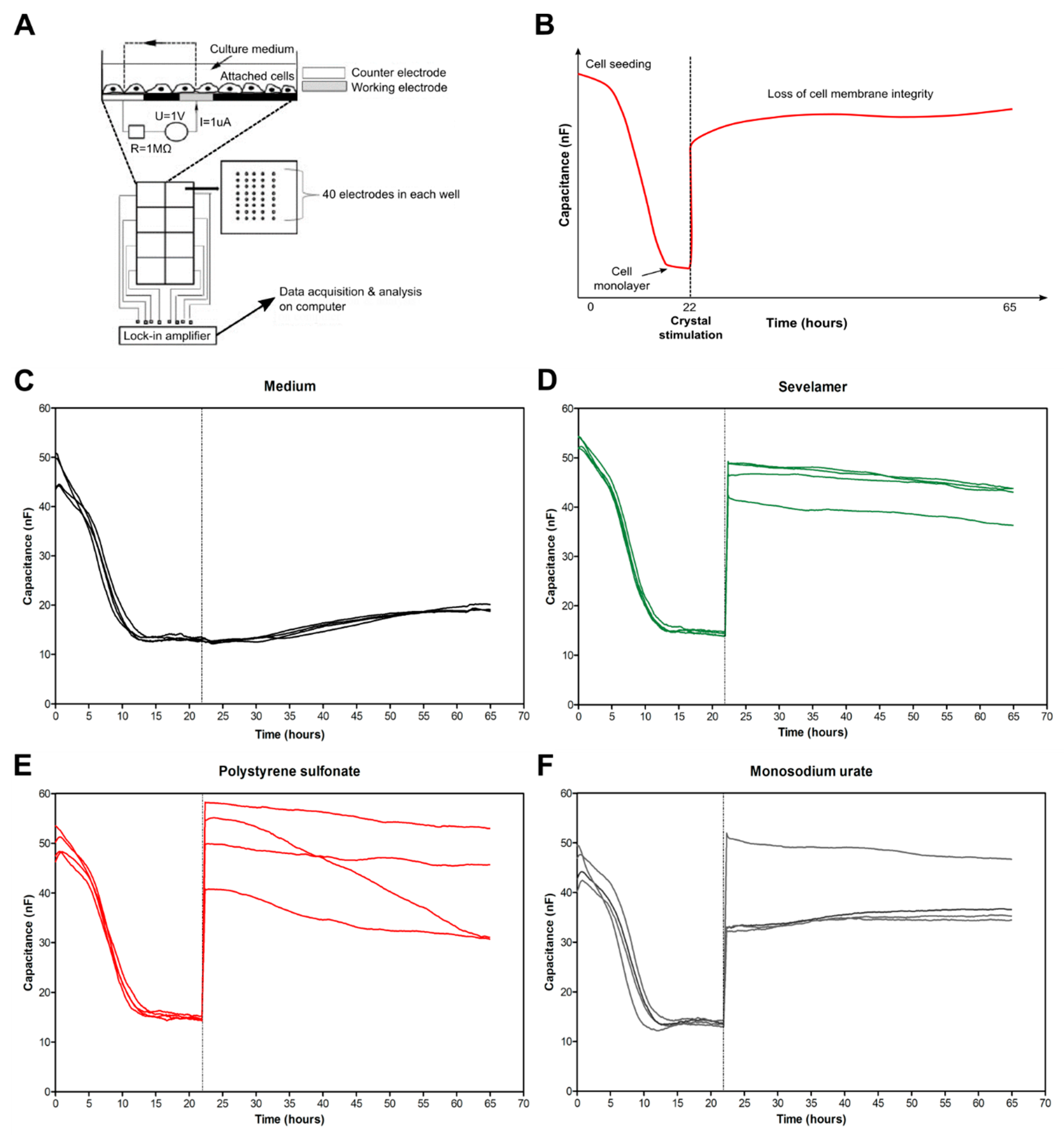 Cells 09 02481 g004 Cells 09 02481 g004