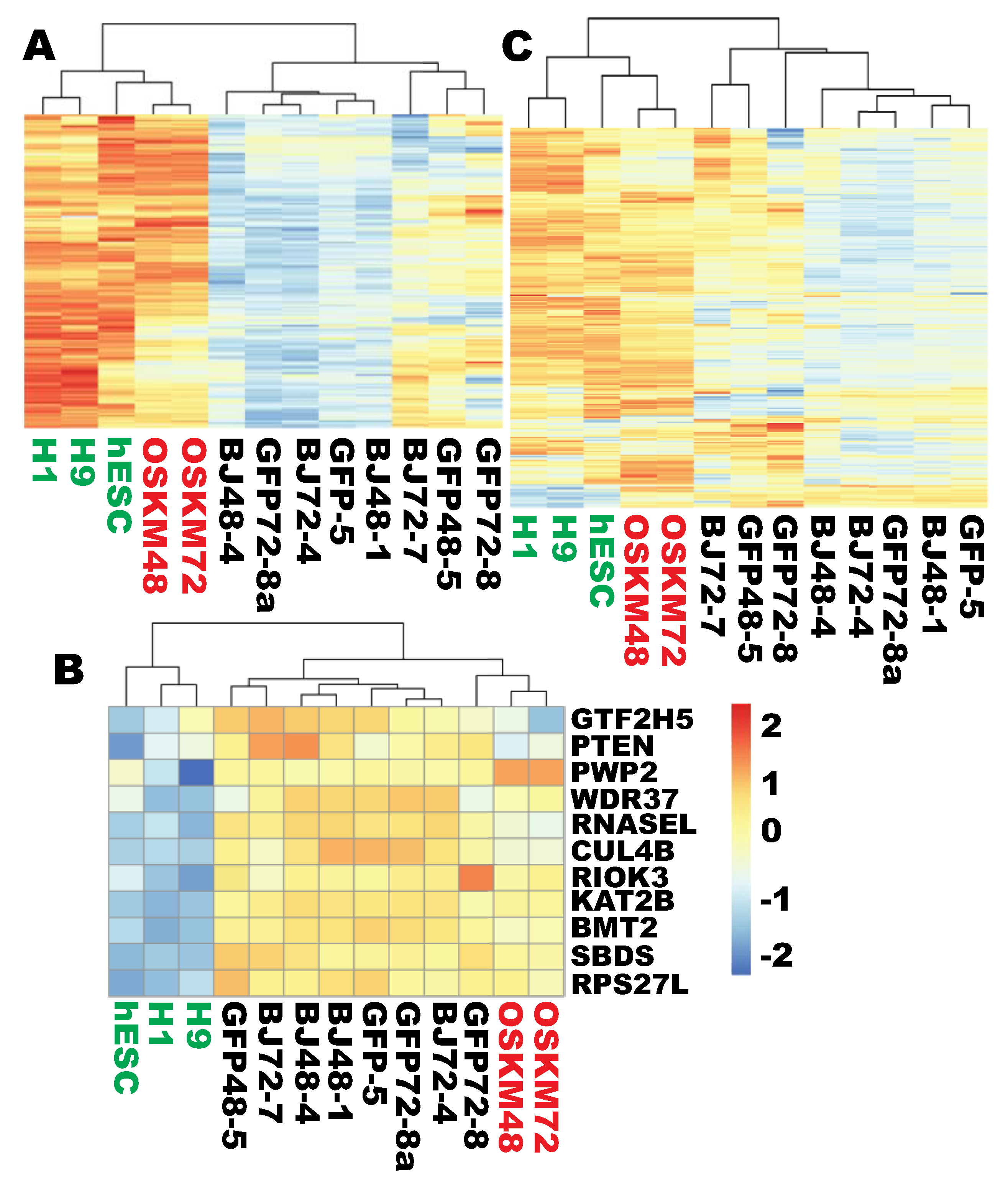 Cells 09 02484 g002 Cells 09 02484 g002