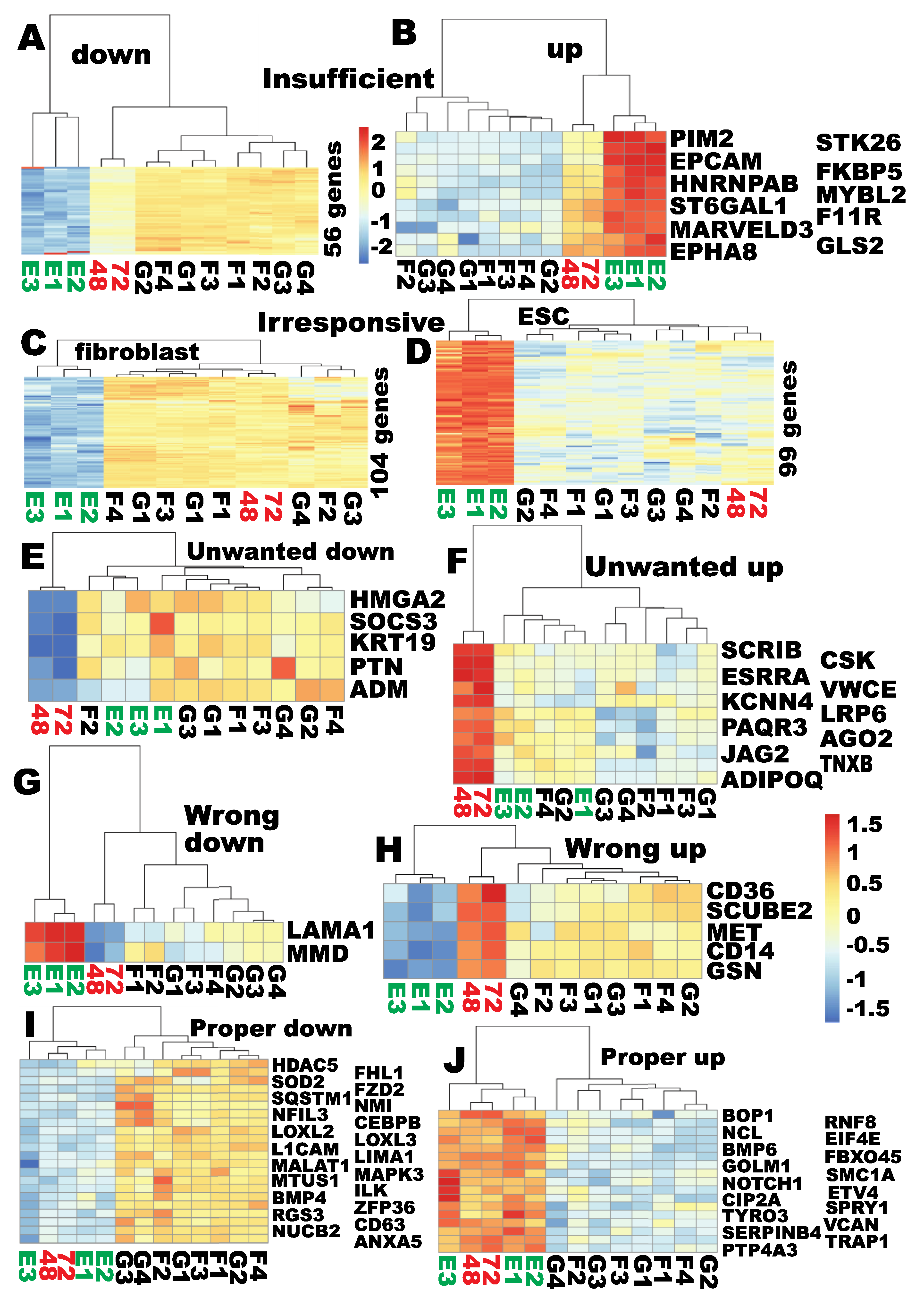 Cells 09 02484 g006 Cells 09 02484 g006